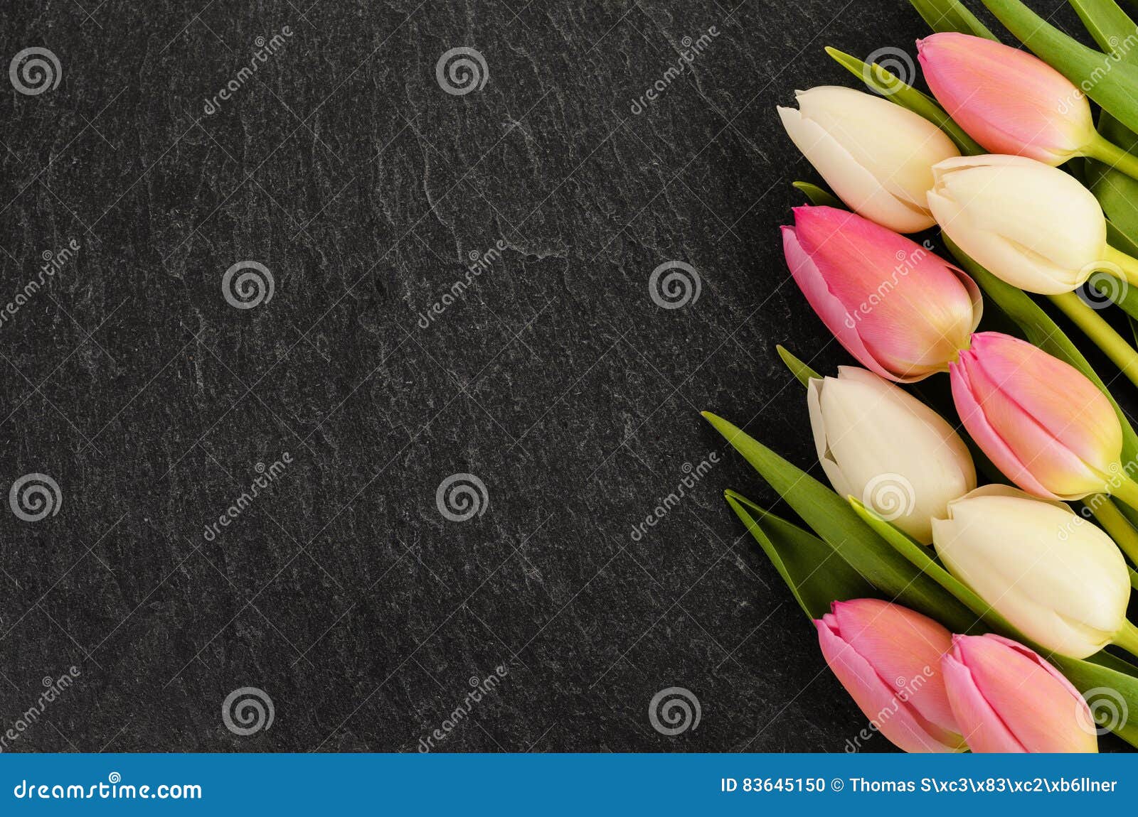 Fleurs de tulipe photo stock. Image du pâques, rose, ressort - 83645150