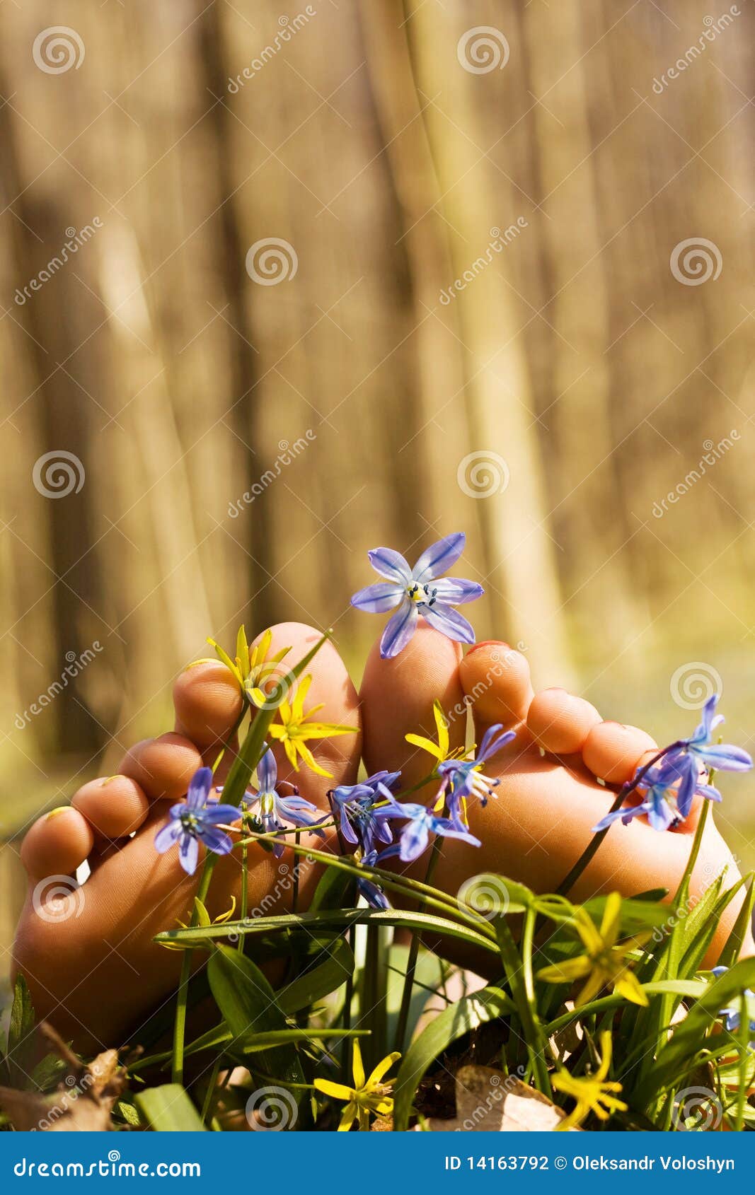 Fleurs des pieds du femme tendre aux pieds nus au printemps. Copiez l'espace