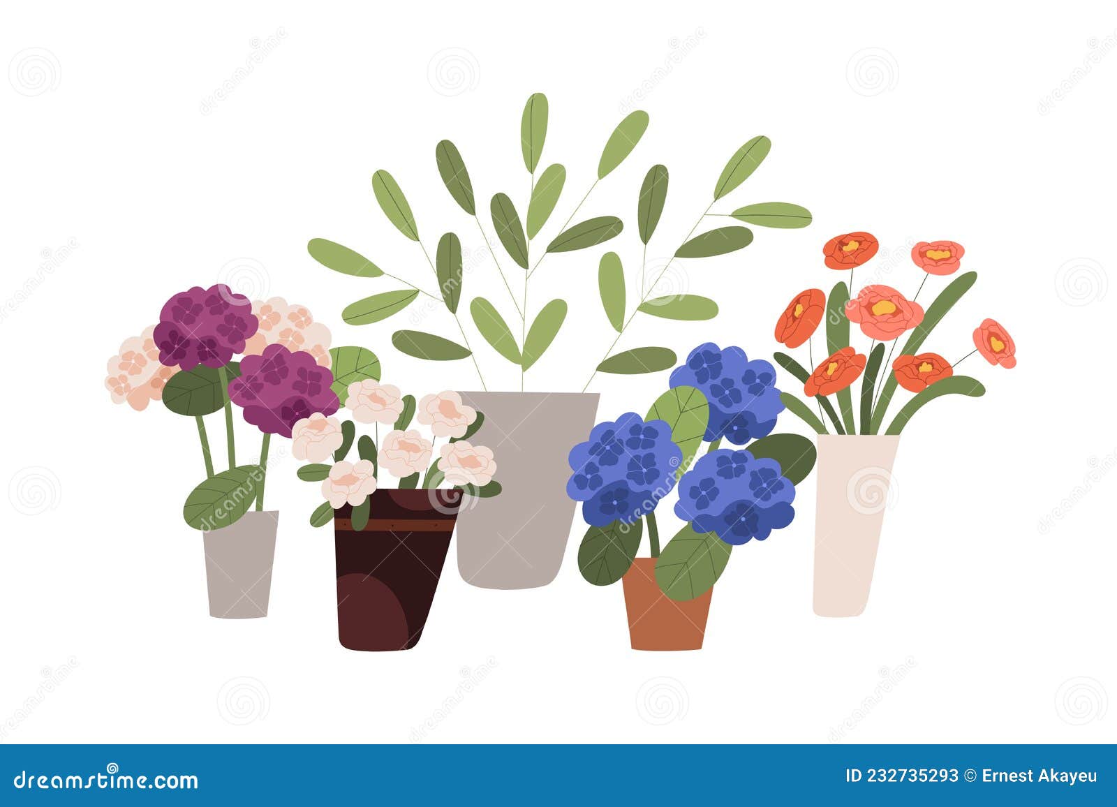 Fleurs Fleuries Plantes Florales Et Feuillage Dans Des Seaux Vases