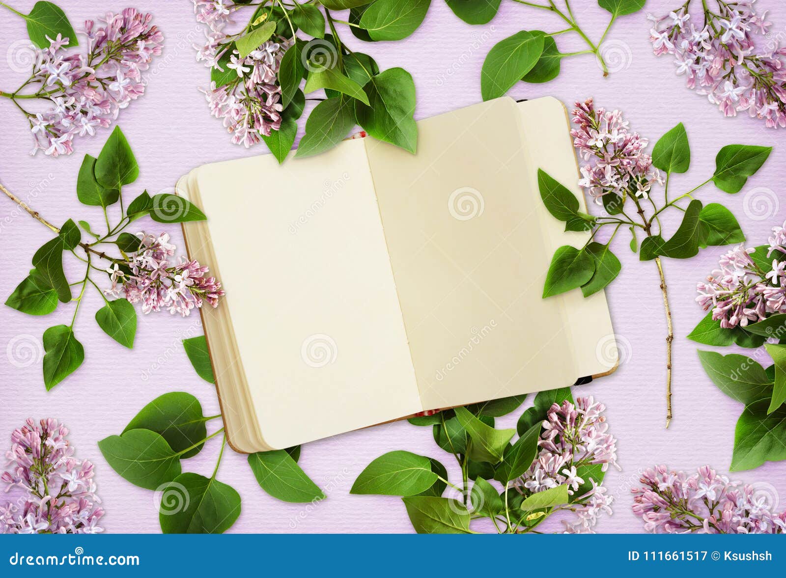 Fleurs lilas et un carnet sur le fond de papier Configuration plate Vue supérieure