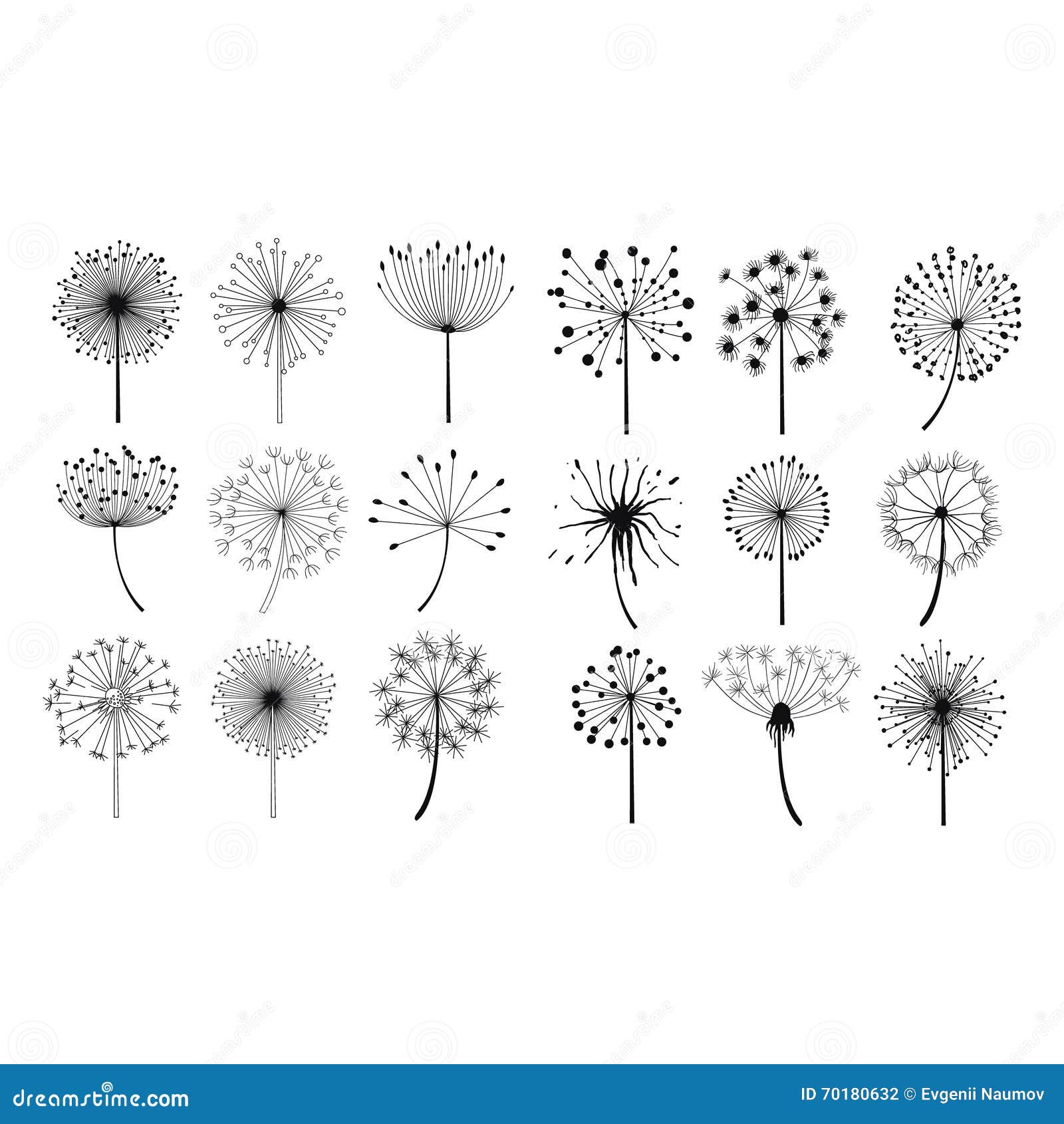 Fleurs Pelucheuses De Graines De Pissenlit Réglées Illustration de dessin fleurs graines griffonnage main pelucheux pissenlit