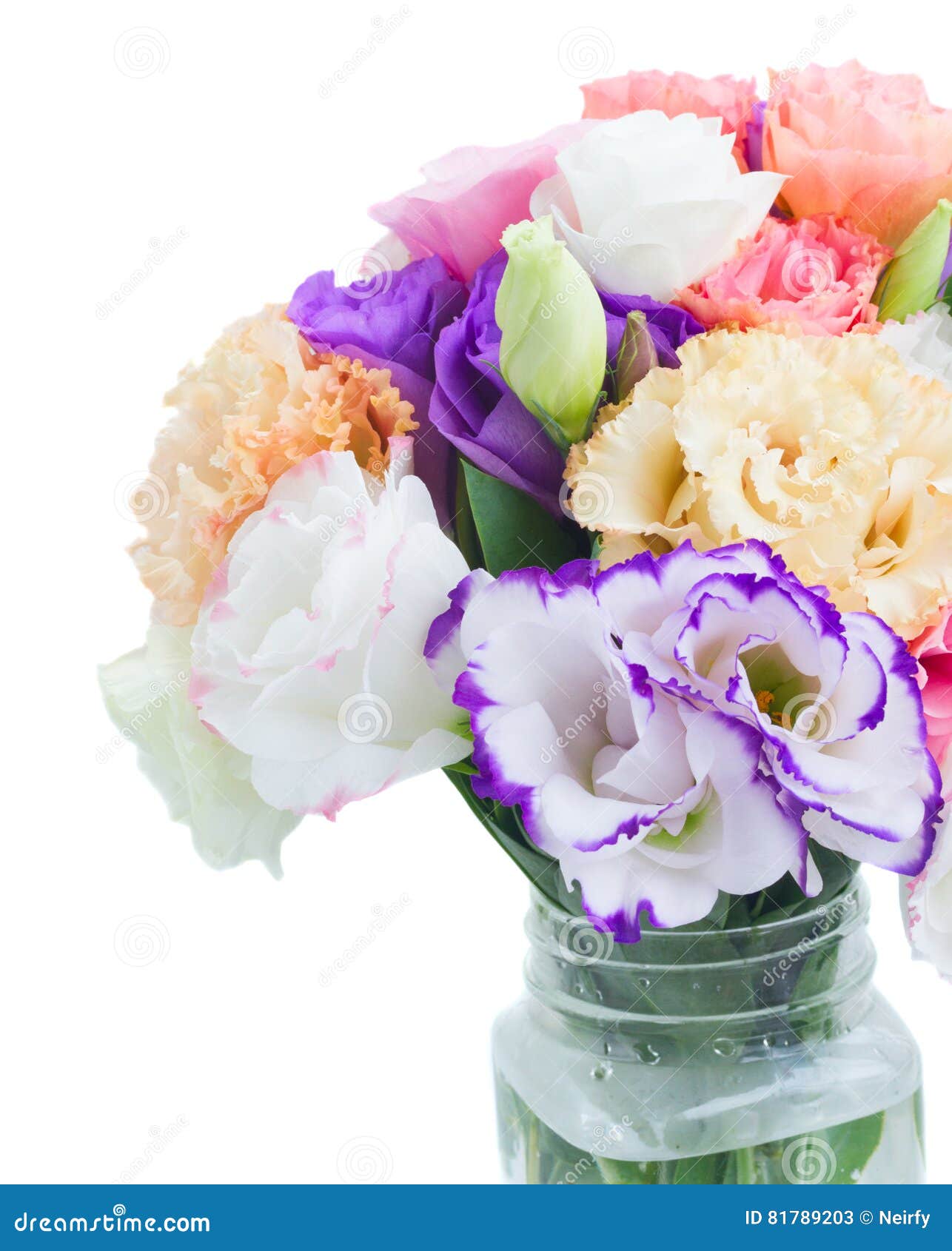 Fleurs Roses, Blanches Et Violettes Image stock - Image du beau, abstrait:  81789203