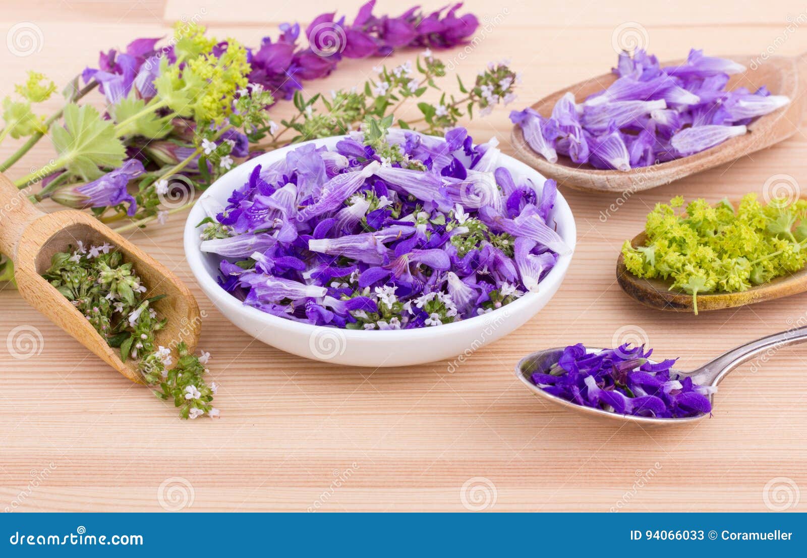 Fleurs Violettes Et Comestibles Image stock - Image du blanc, épices:  94066033