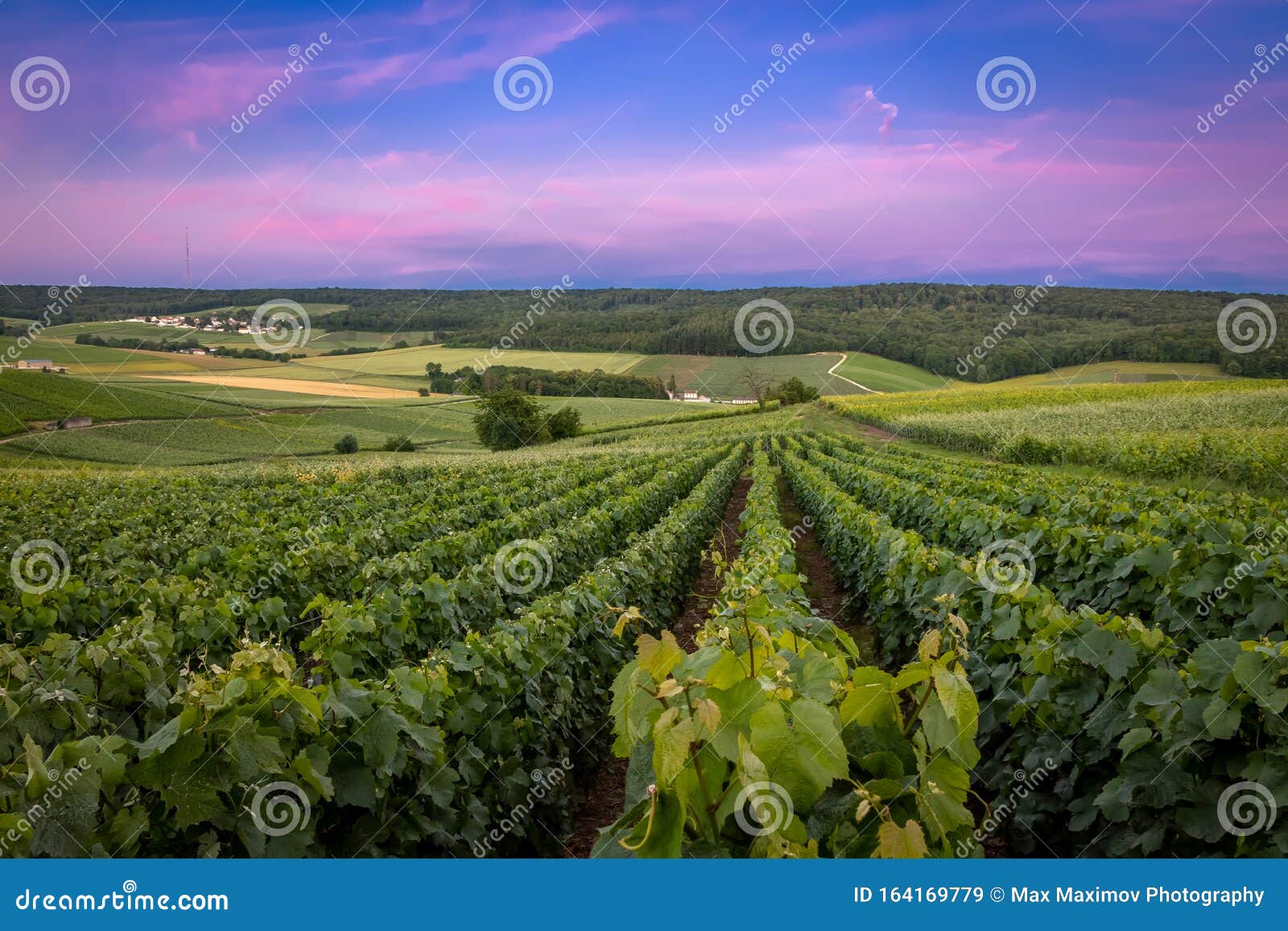 fleury-la-rivier, france - sunset view of the hillsides of champagne
