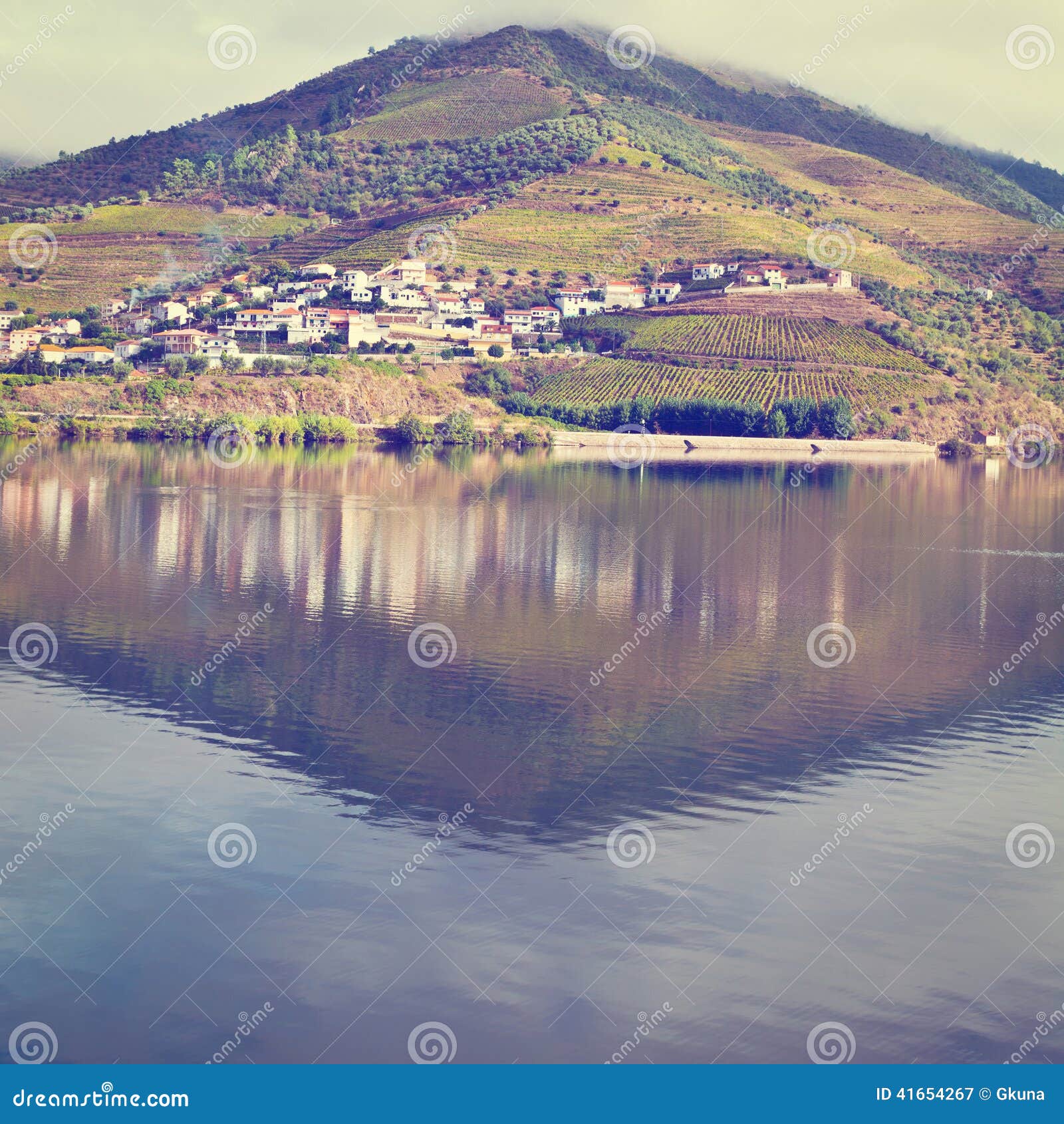 Fleuve Douro. Vignobles dans la vallée de la rivière Douro, Portugal, effet d'Instagram