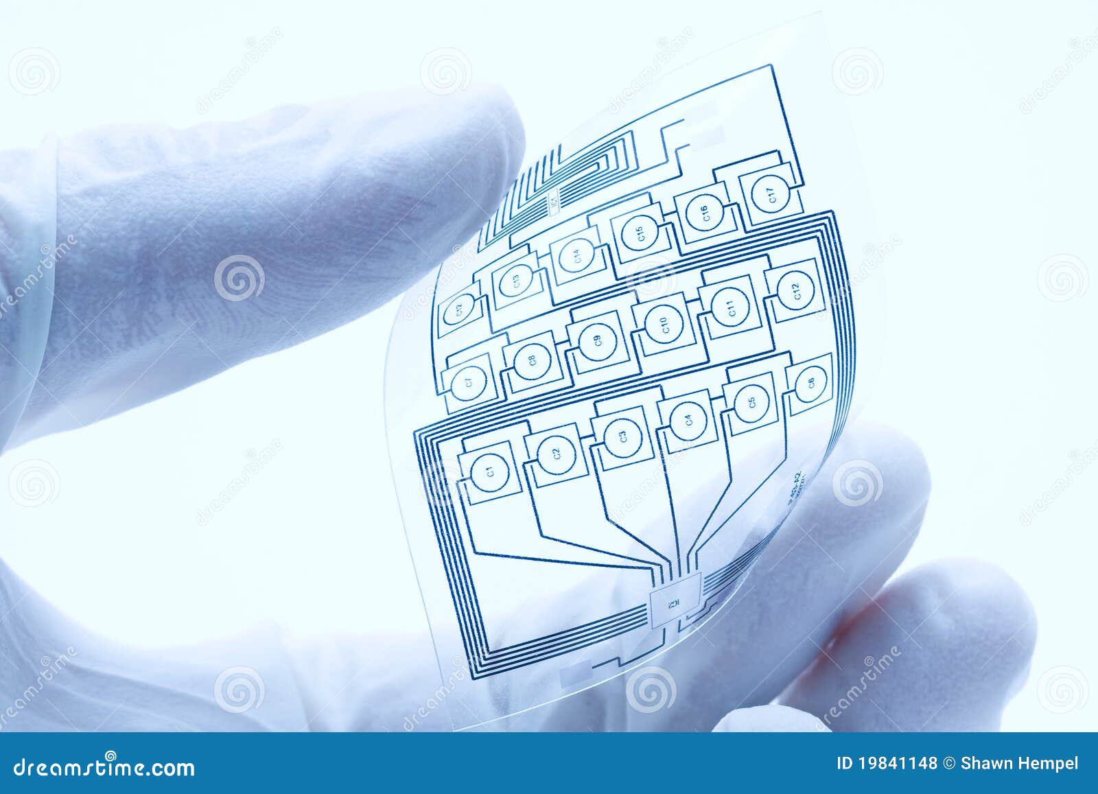 flexible printed electric circuit