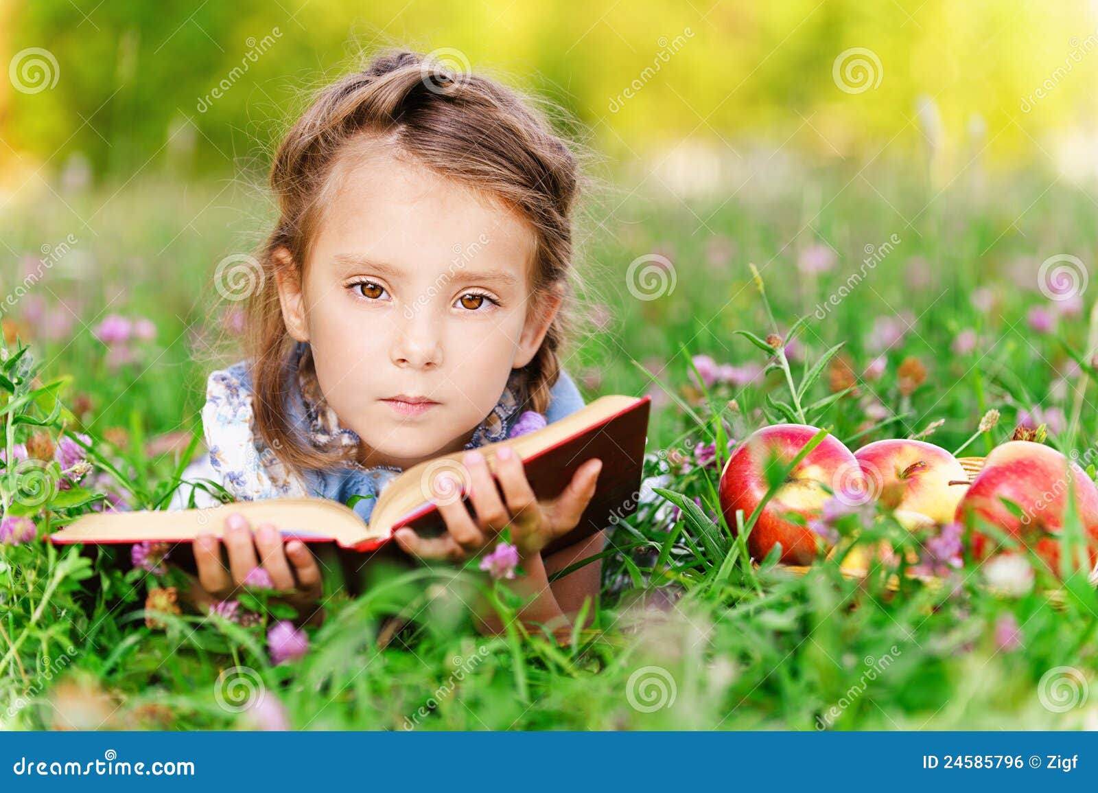 Flickagräs ligger little. Mot lies för green för gräs för flicka för bok för äpplekorg härliga läste little park sommar
