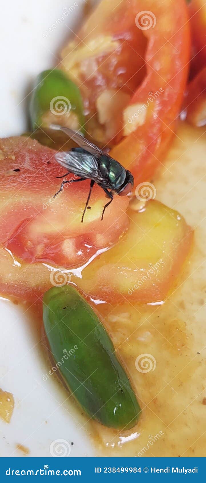 Flies Eating Tomato stock photo. Image of cuisine, fish 238499984