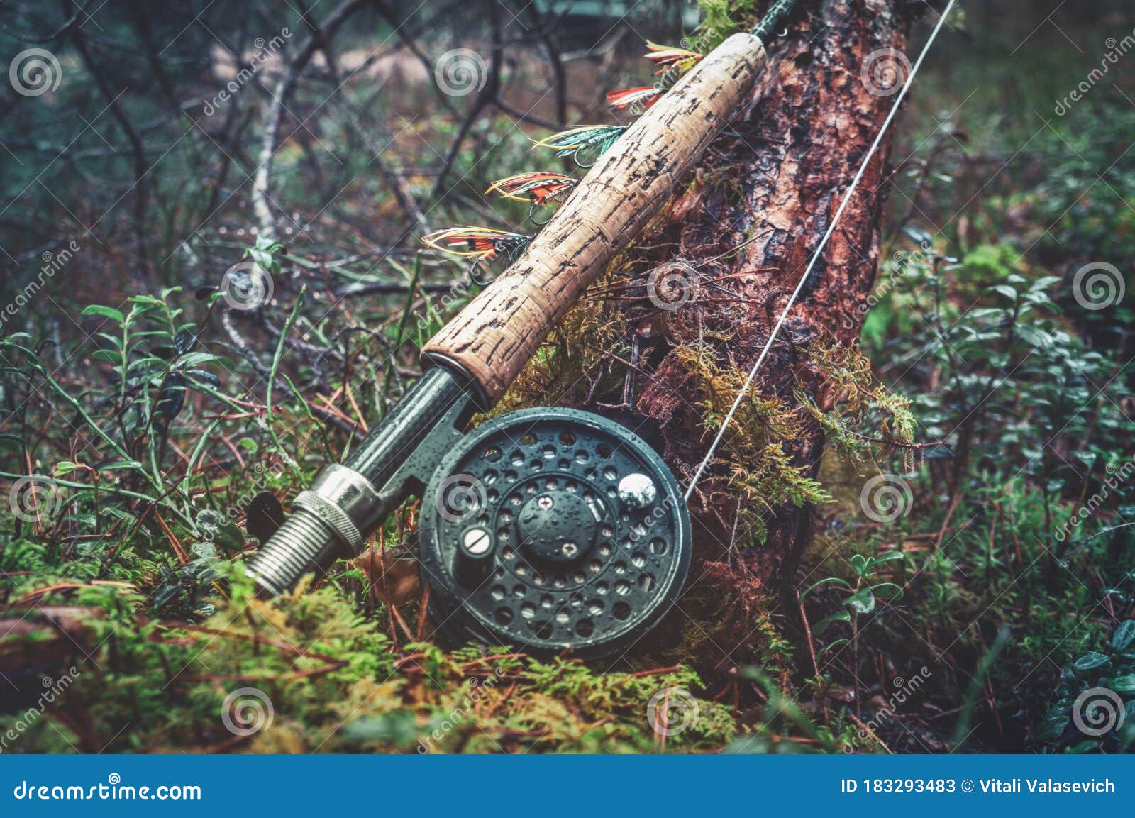 Flies for Salmon Fishing. Fly Fishing Gear Stock Image Image of