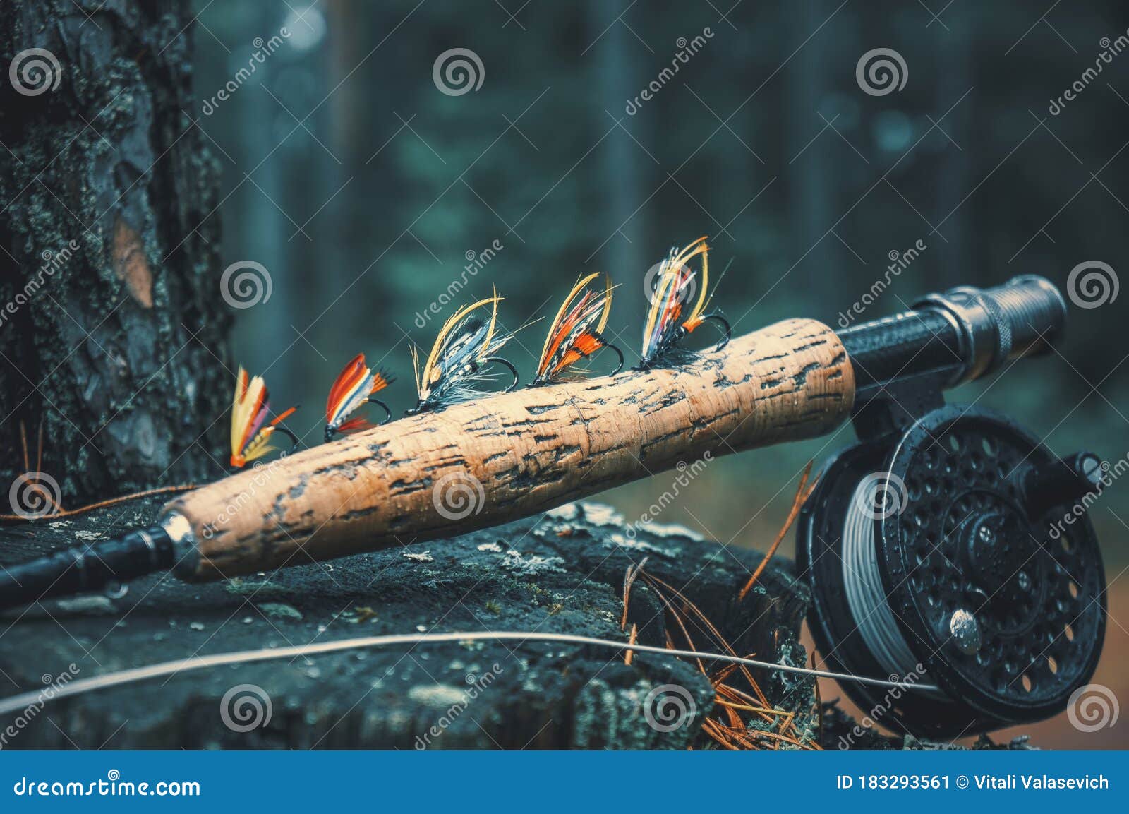 Flies for Salmon Fishing. Fly Fishing Gear Stock Image Image of