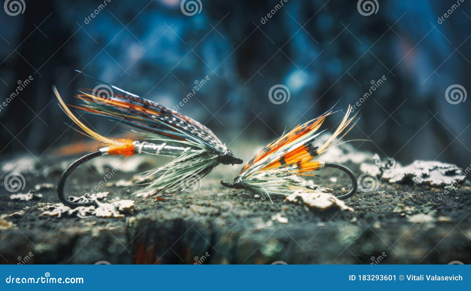 Flies for Salmon Fishing. Fly Fishing Gear Stock Image Image of