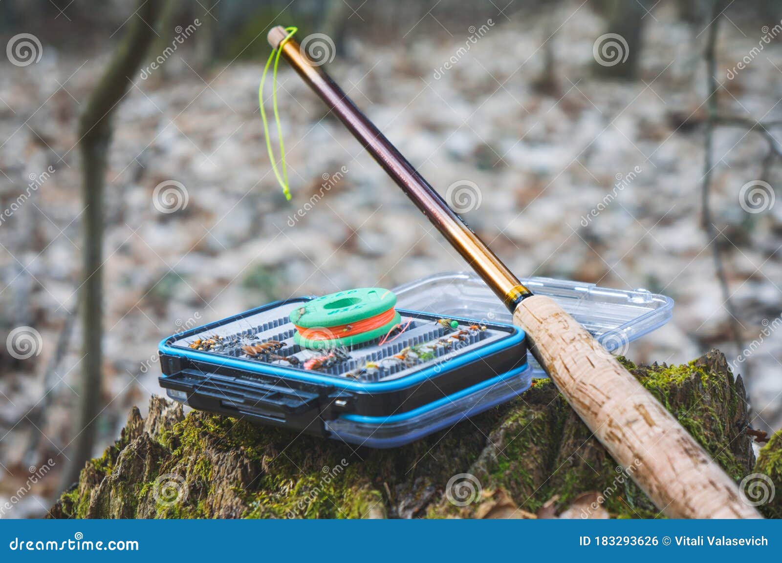 Flies for Salmon Fishing. Fly Fishing Gear Stock Photo Image of