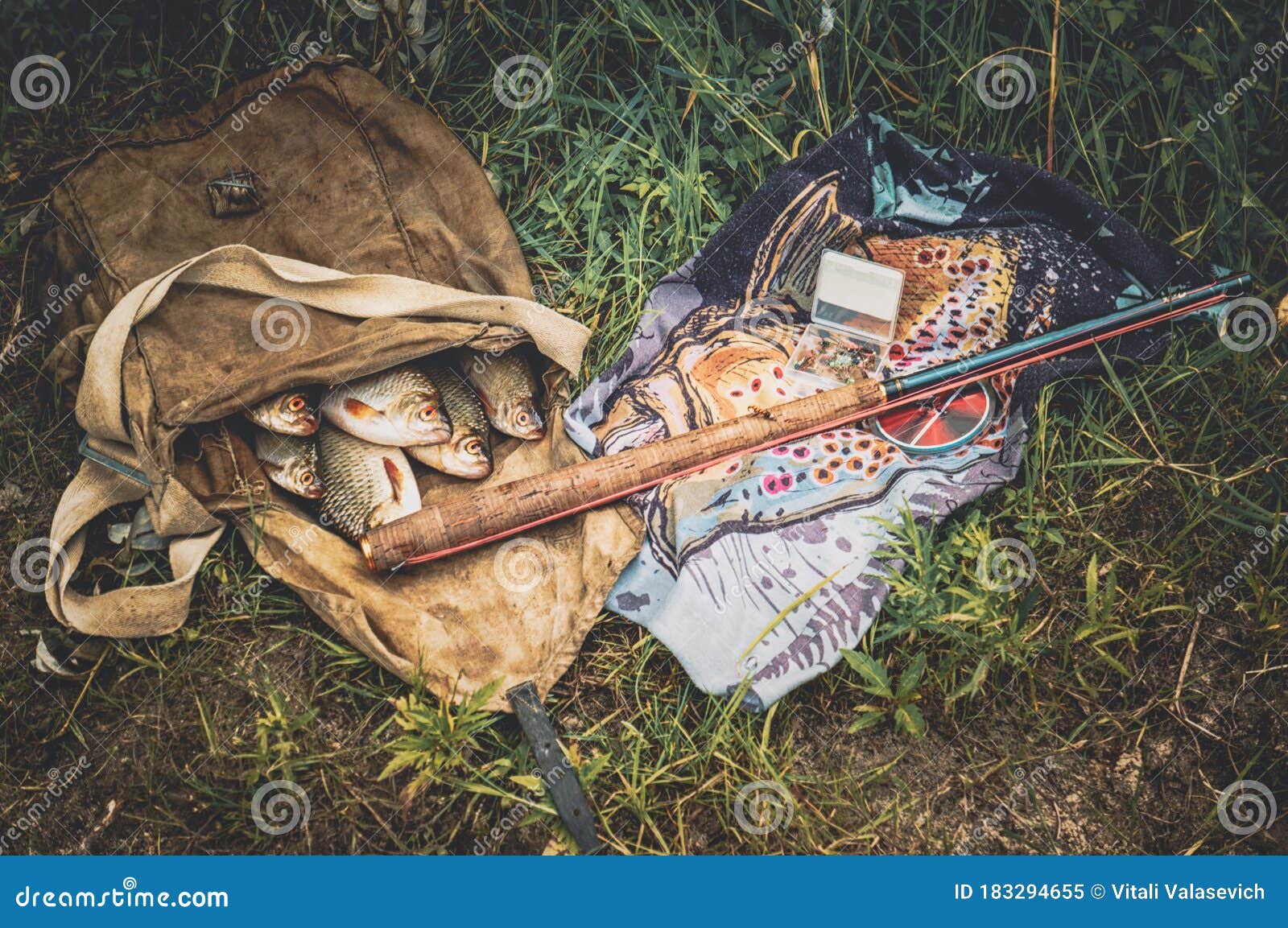 Flies for Salmon Fishing. Fly Fishing Gear Stock Image Image of hook