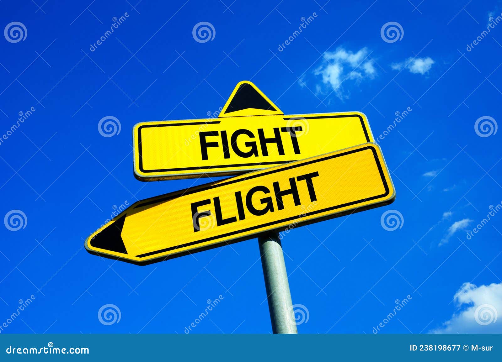 flight or fight