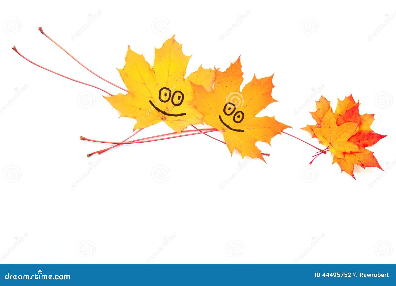 Flight with flowers stock photo. Image of flora, yellow 44495752