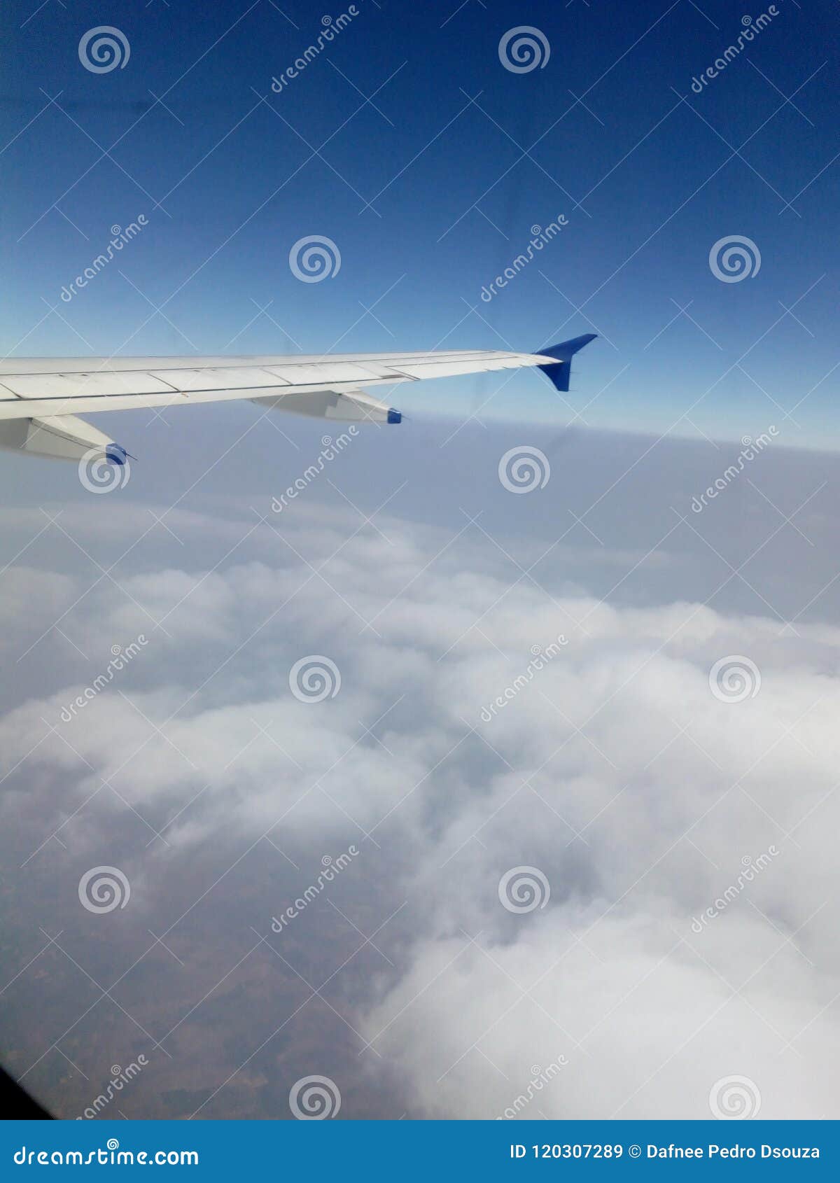 Fight Flight phobia stock image. Image of photographylove 120307289