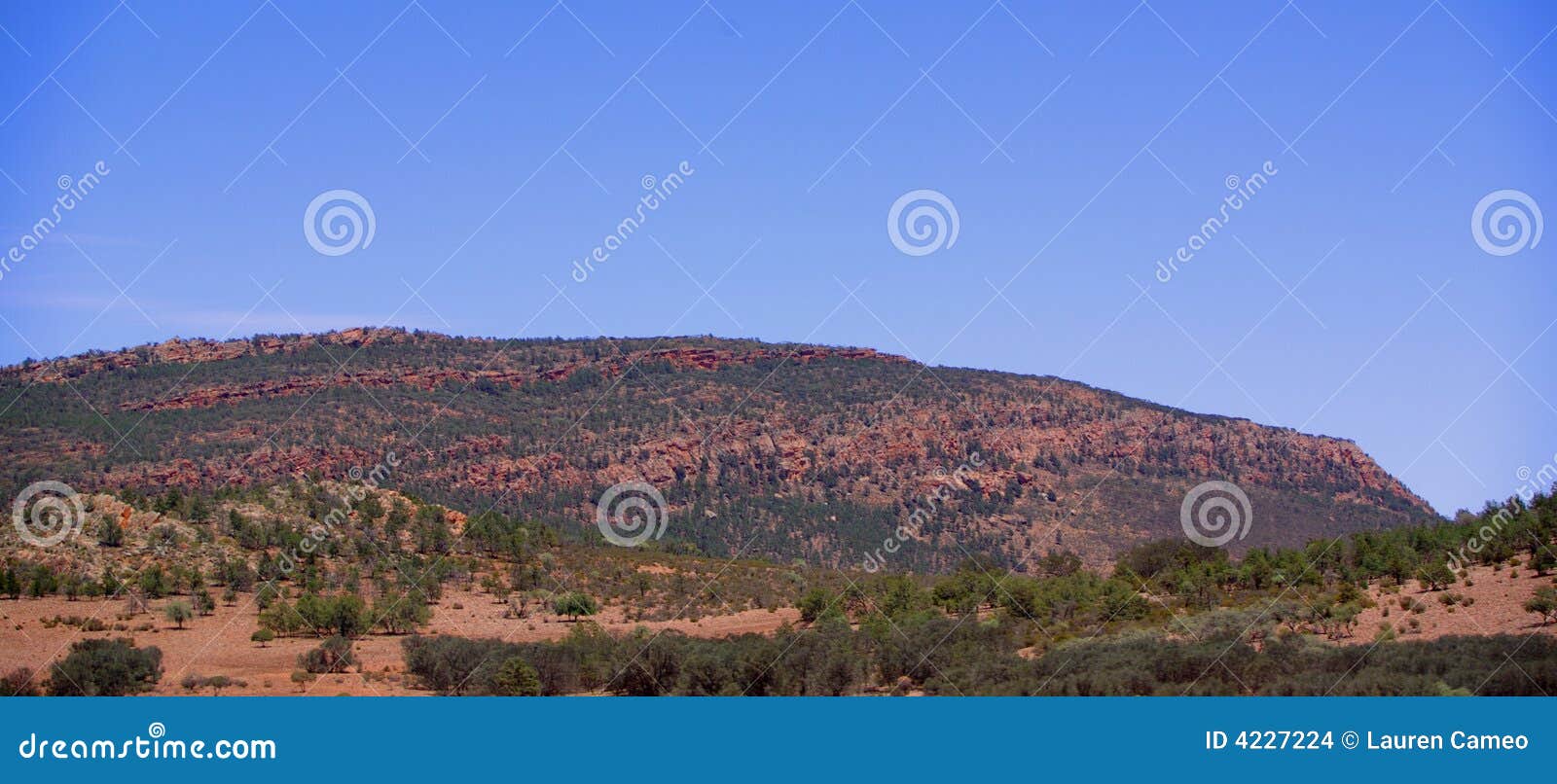 Flinders Ranges at Quorn stock photo. Image of outback 4227224