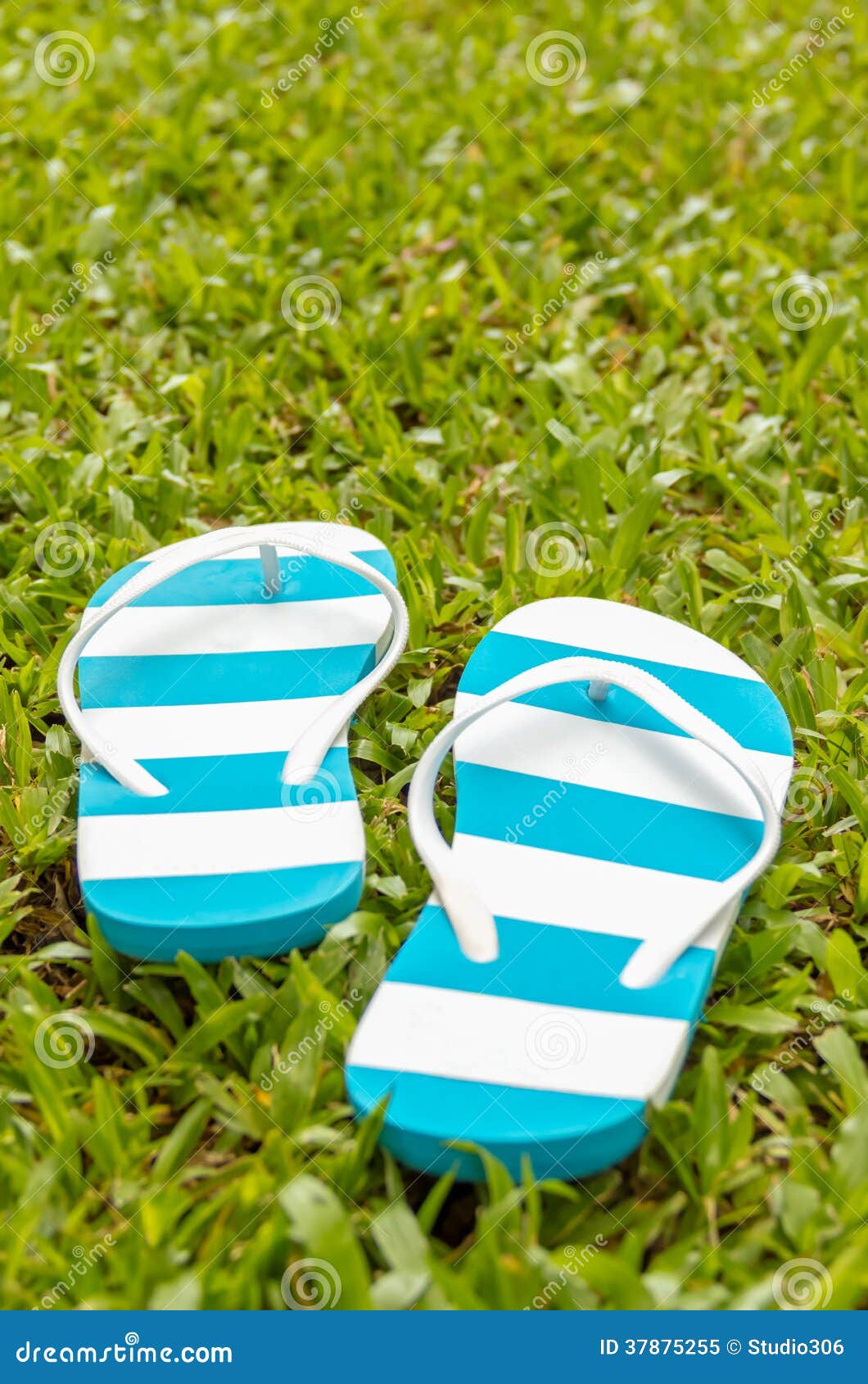 Flip Flops imagem de stock. Imagem de viagem, grama, verde - 37875255