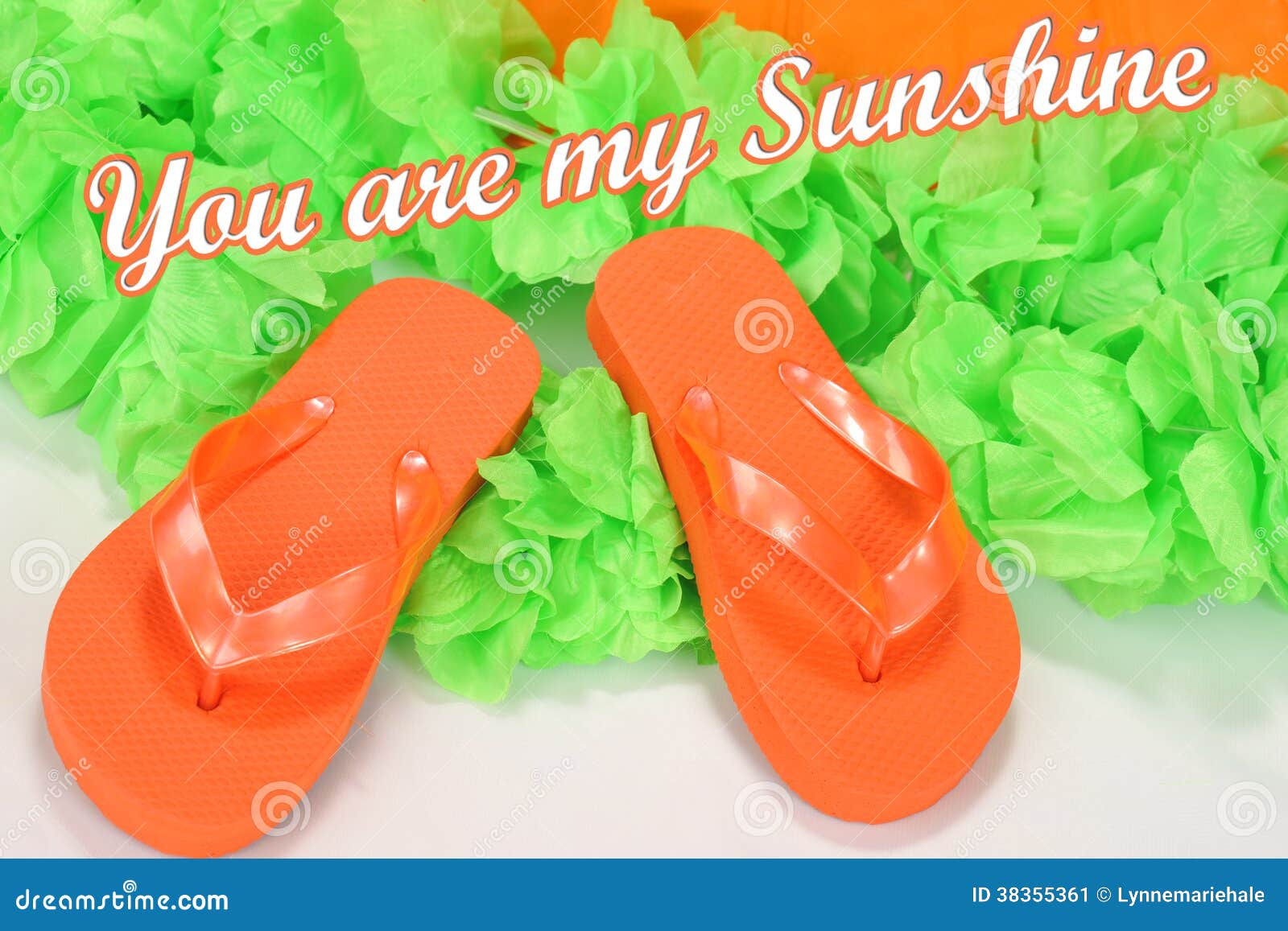 Flip Flops stock afbeelding. Image of gelukkig, vrolijk - 38355361