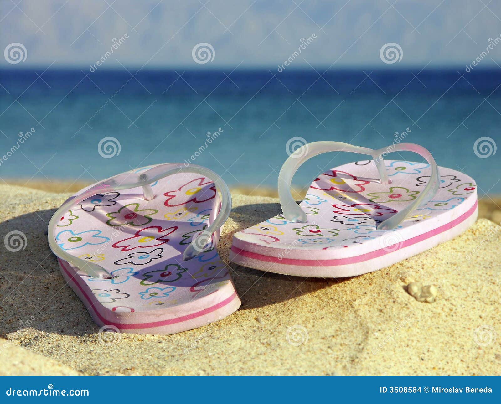 Flip-flops on beach stock photo. Image of isolated, outside - 3508584