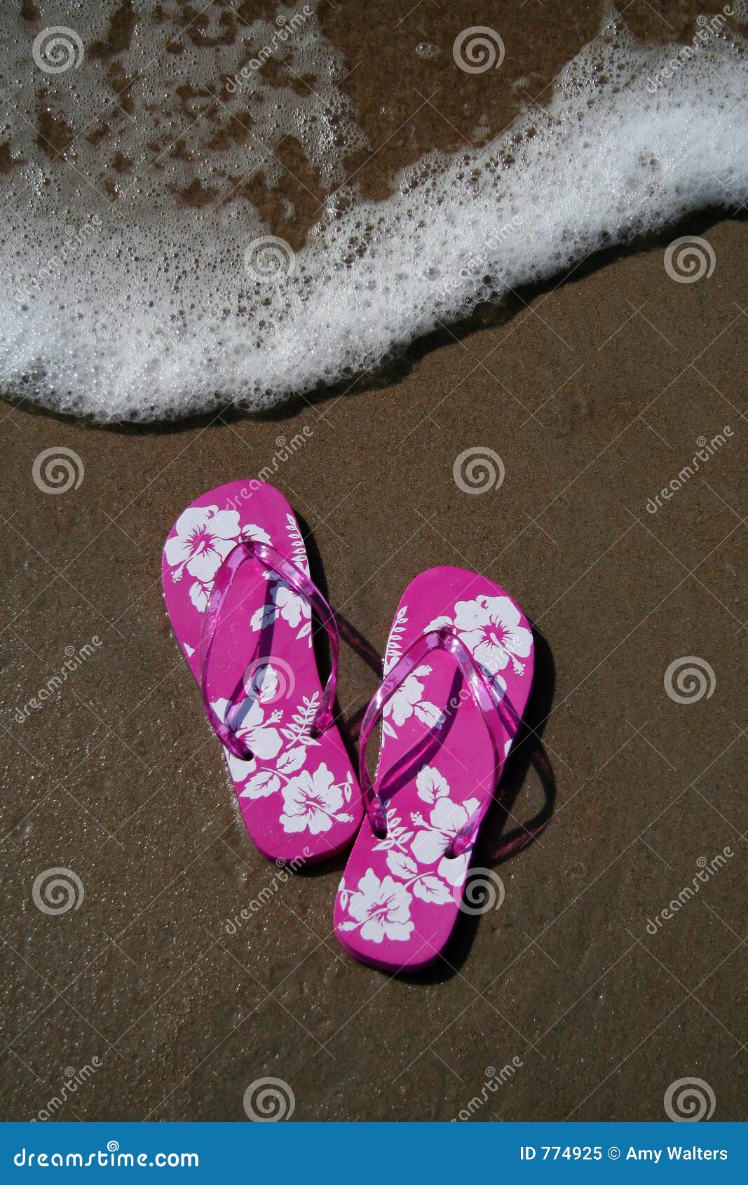 Flip-flops on the beach stock image. Image of flower, pink - 774925