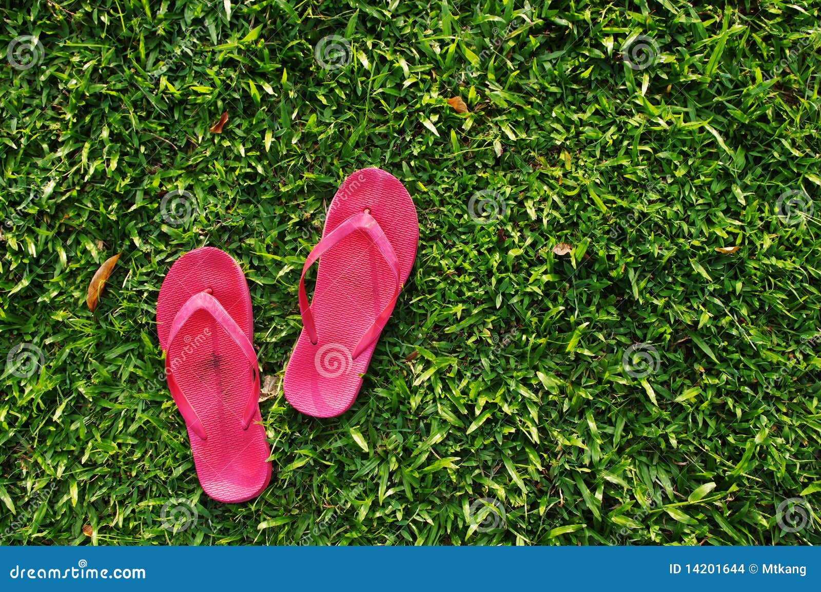 Flip flops on grass field stock photo. Image of relaxation - 14201644