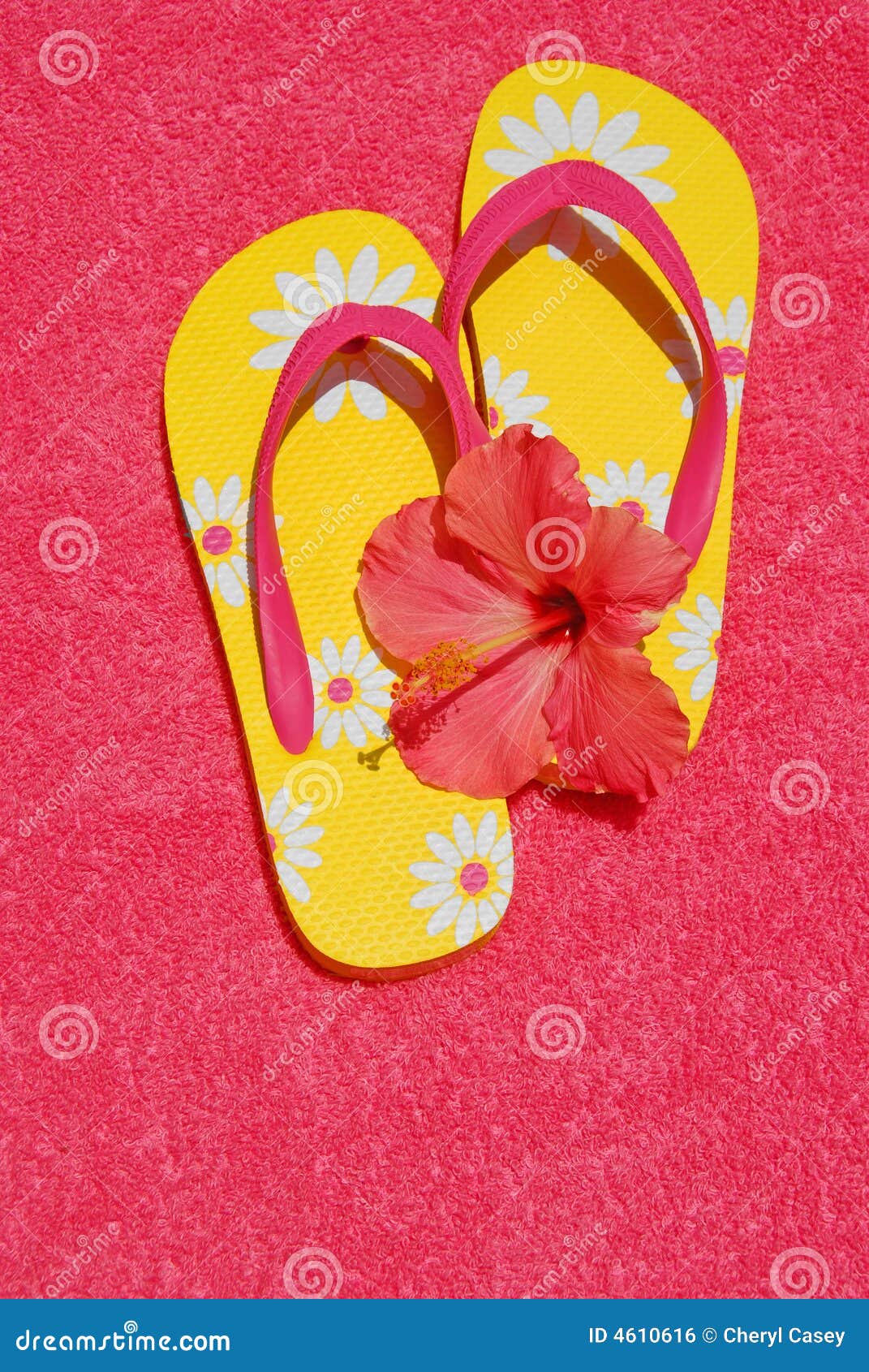 Flip Flops and Hibiscus stock photo. Image of hibiscus - 4610616