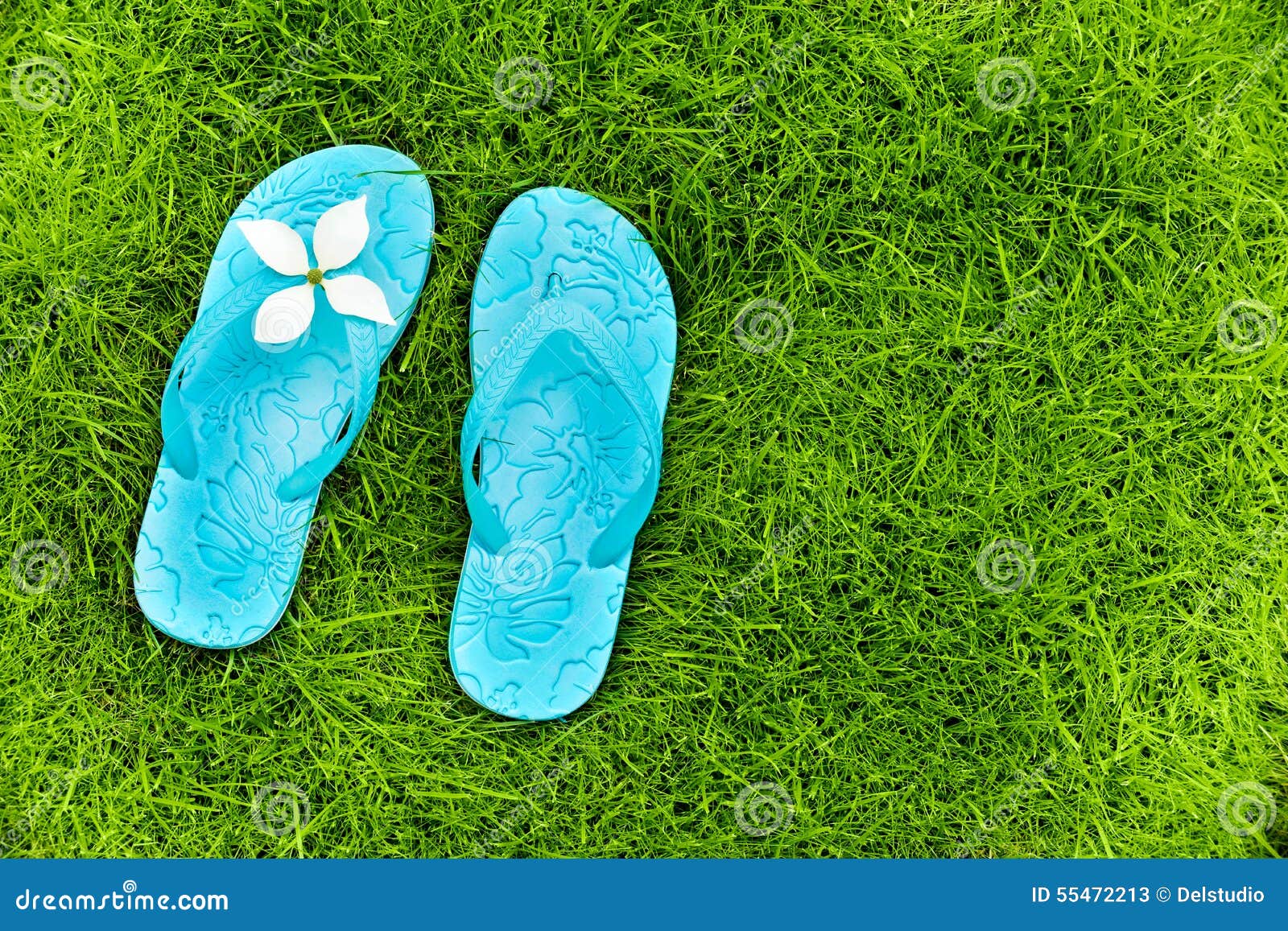 Flip flops on a lawn stock image. Image of flops, recreation - 55472213