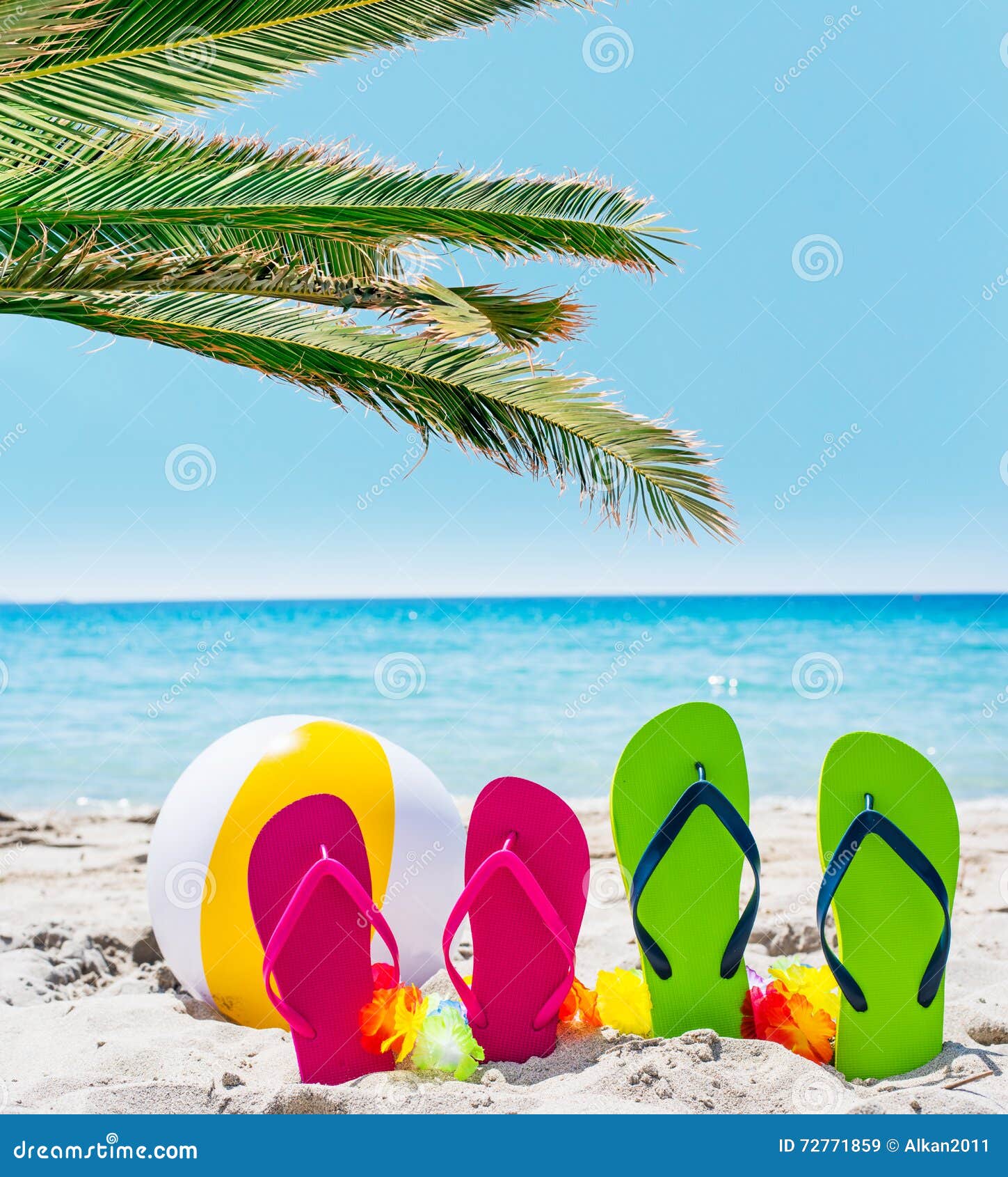 Flip Flops and Palm Tree by the Sea Stock Image - Image of golden ...