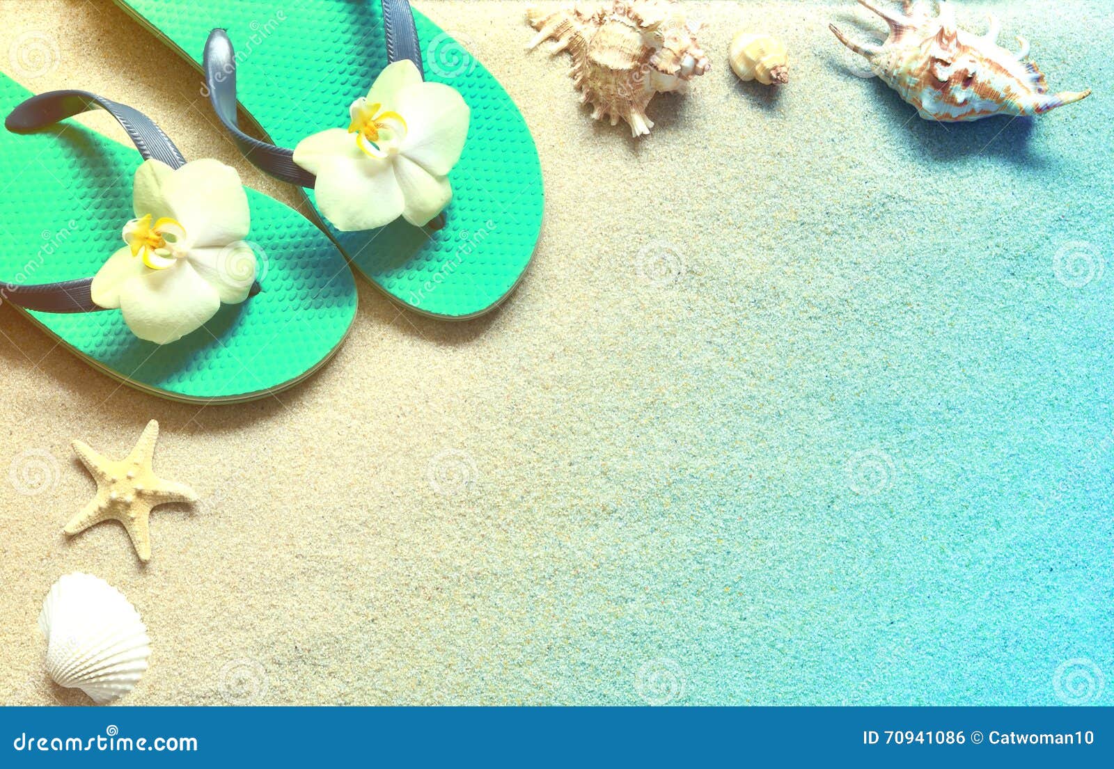 Flip Flops in the Sand with Shells . Summertime. Beach Concept. Stock ...