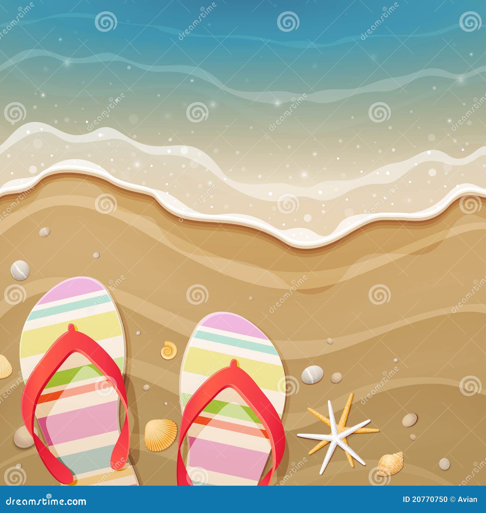 Flip-flops and Shells on the Beach Stock Vector - Illustration of shore ...