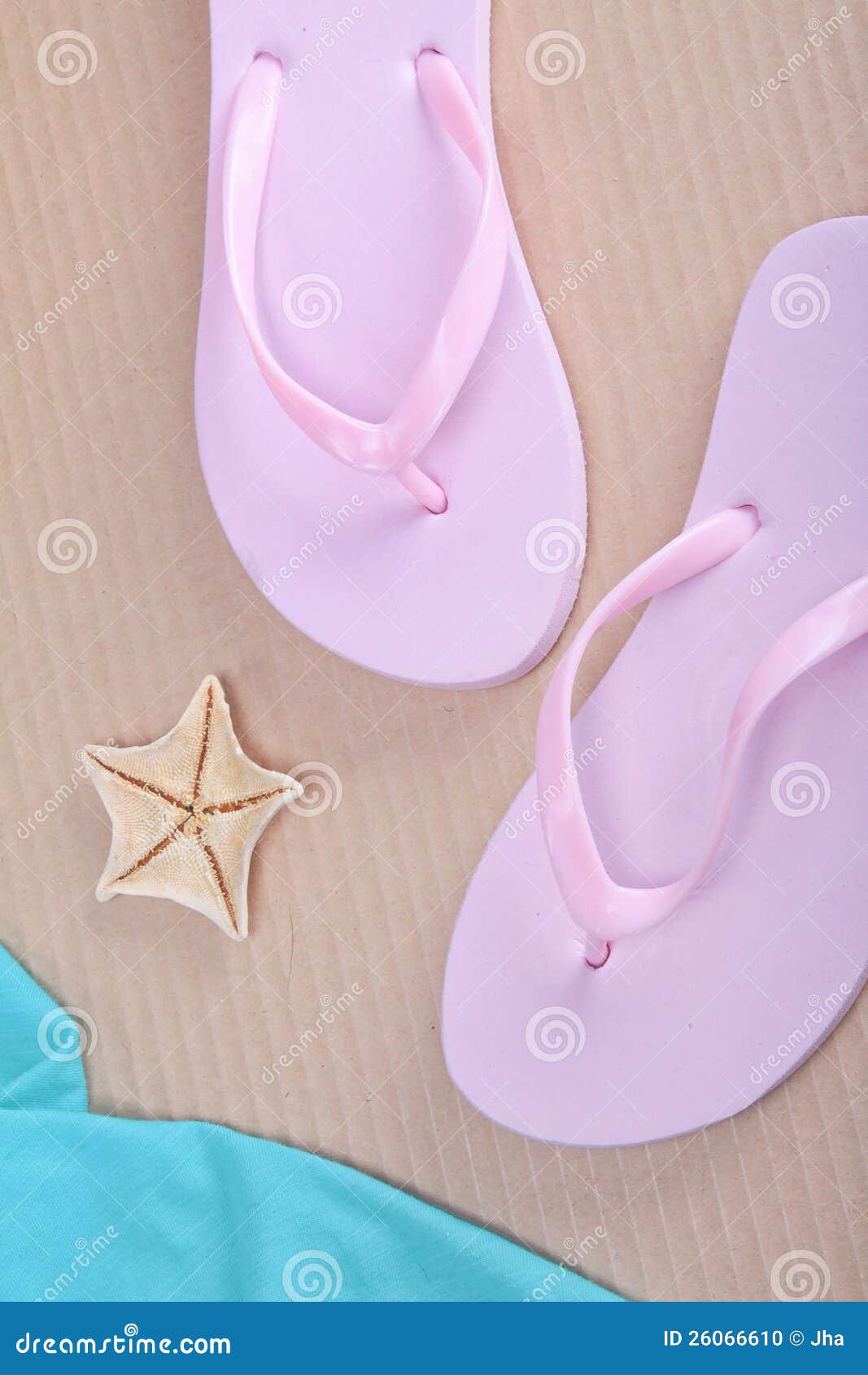 Flip-flops and starfishes stock photo. Image of ocean - 26066610