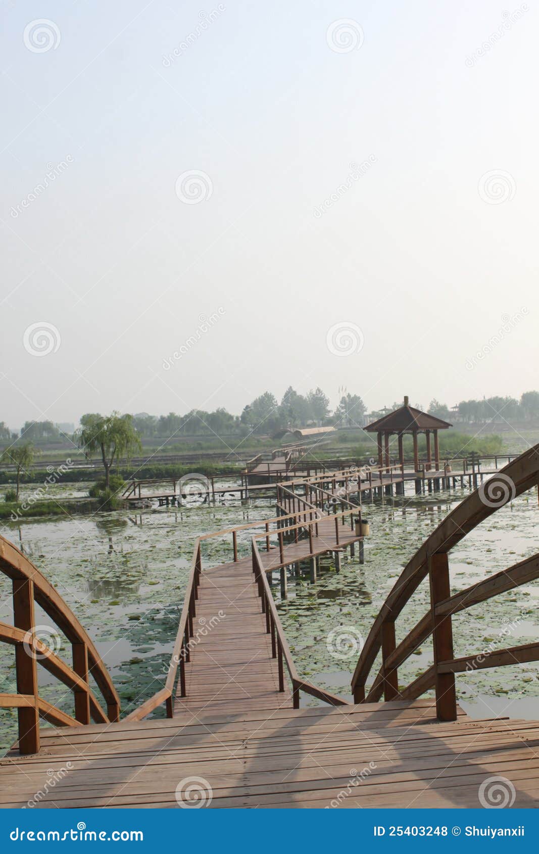 Float bridge stock photo. Image of nature, float, pond 25403248