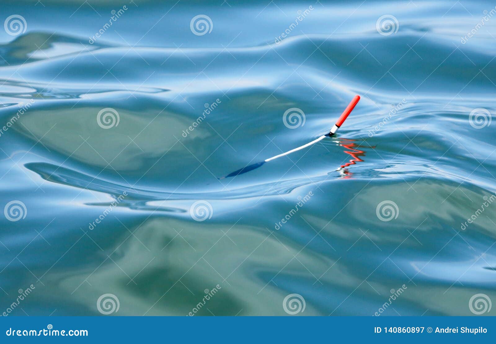 Float for Fishing Floats on the Surface of the Water Stock Image