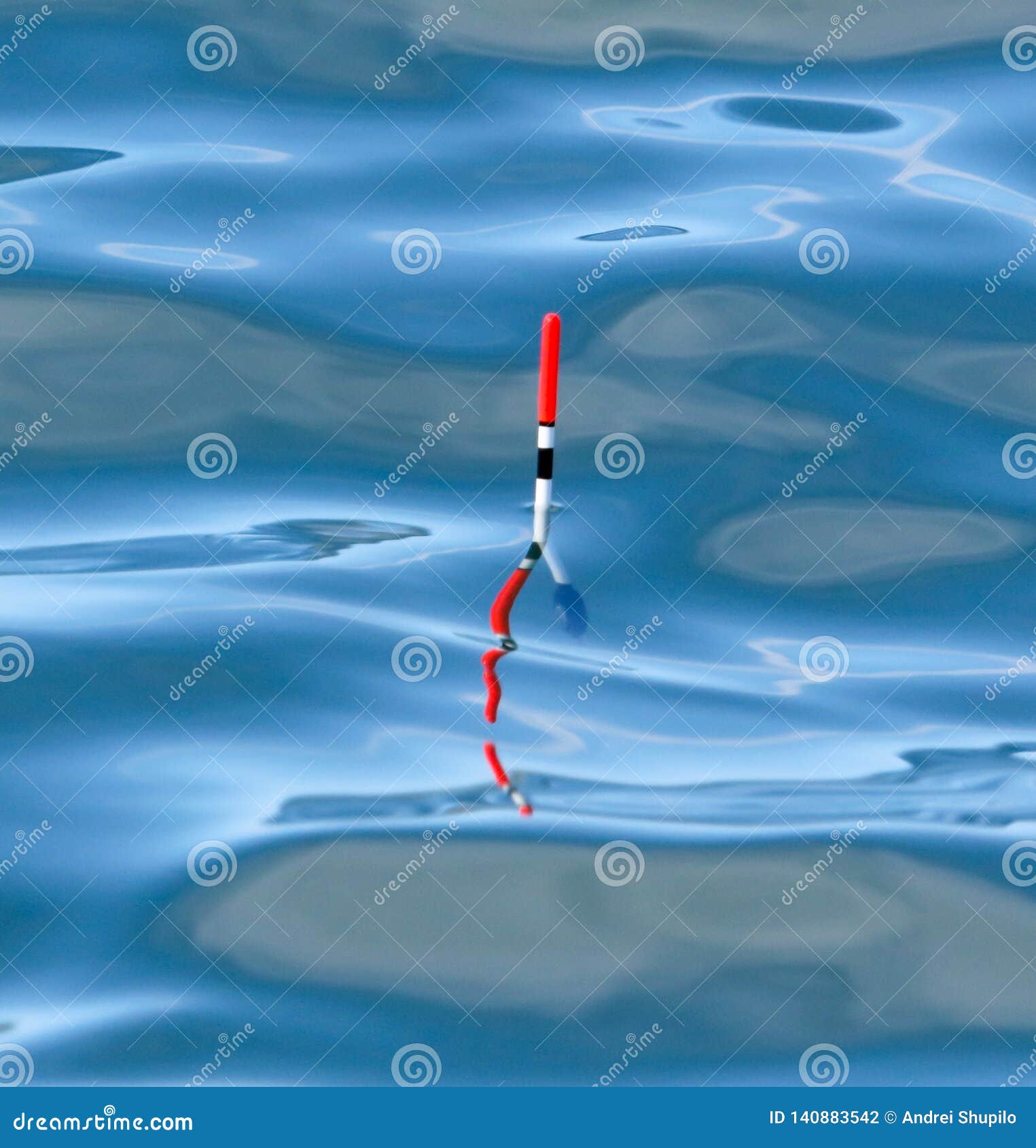 Float for Fishing Floats on the Surface of the Water Stock Photo - Image of  texture, nature: 140883542