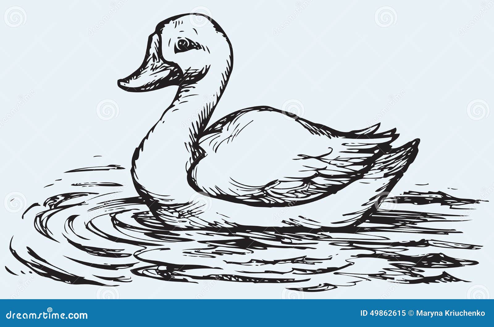 Floating Duck. Vector Sketch Stock Vector - Illustration: 49862615
