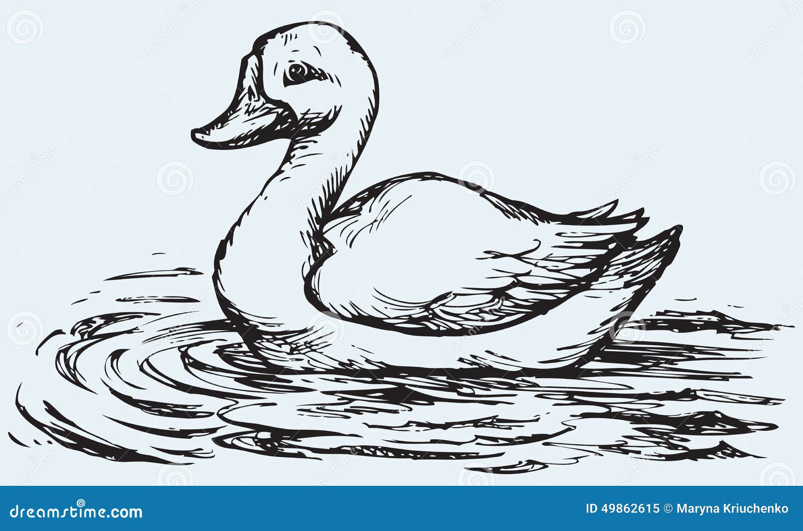 How to Draw a Duck  YouTube