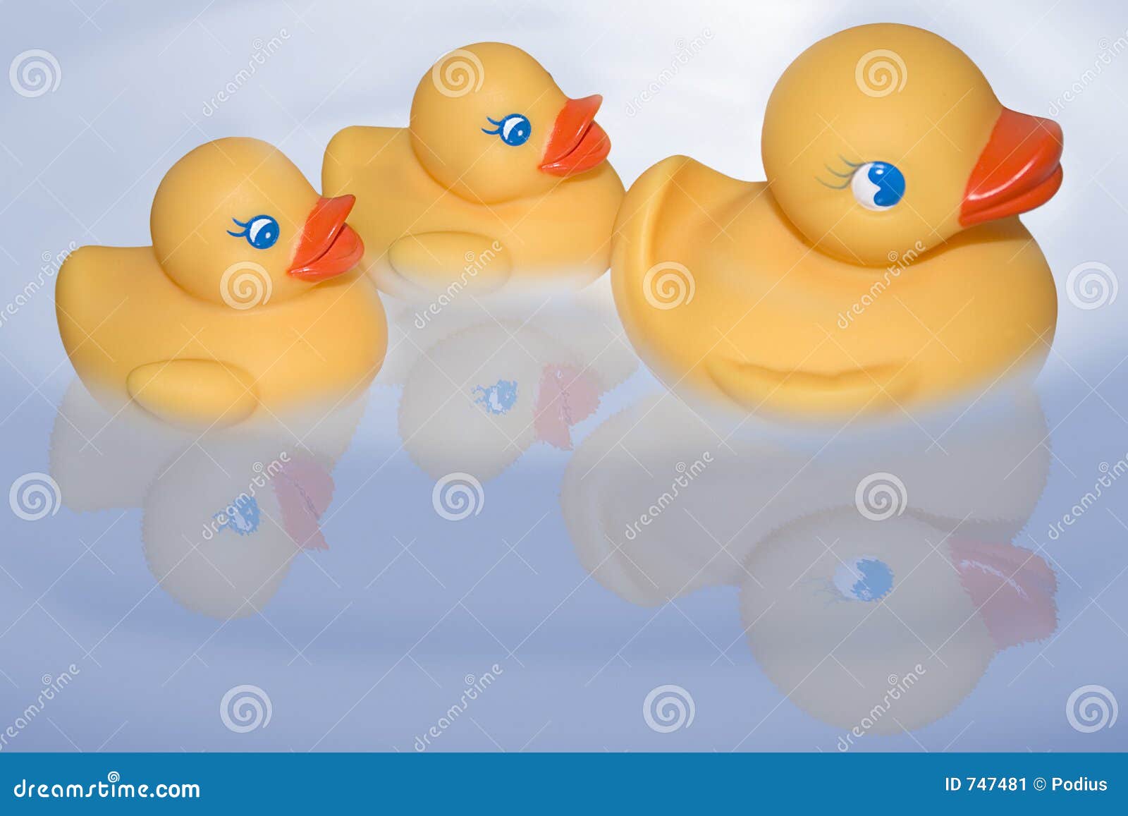 floating duckies