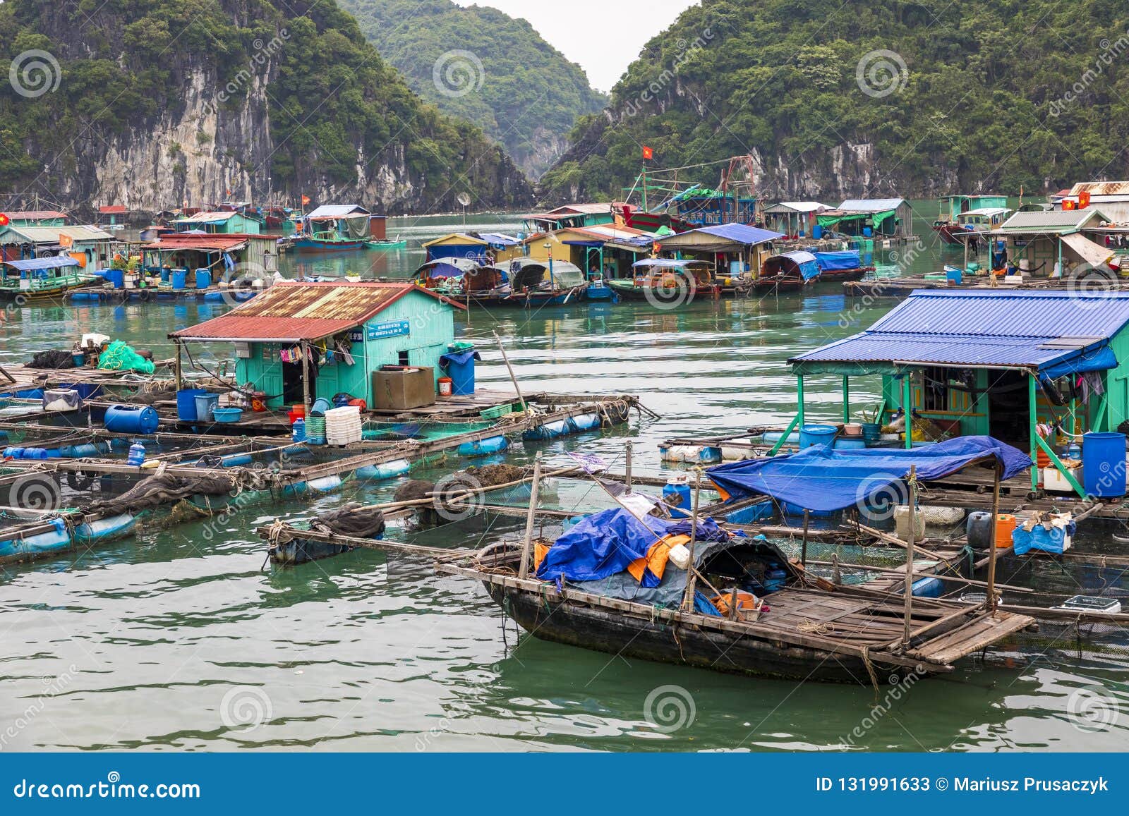 cat ba fishing tour