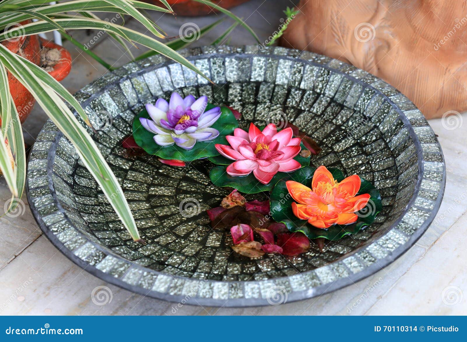 Floating flowers stock photo. Image of nature, water 70110314