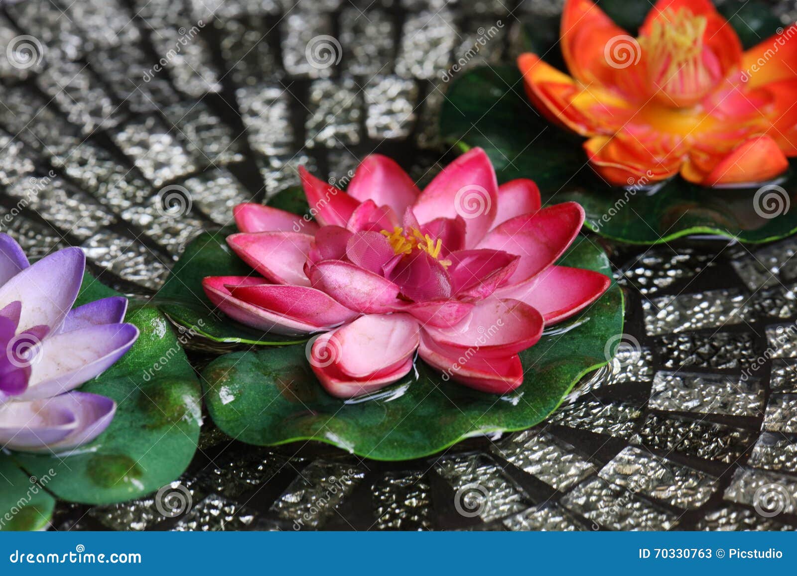 Floating flowers stock image. Image of flowers, blooming 70330763
