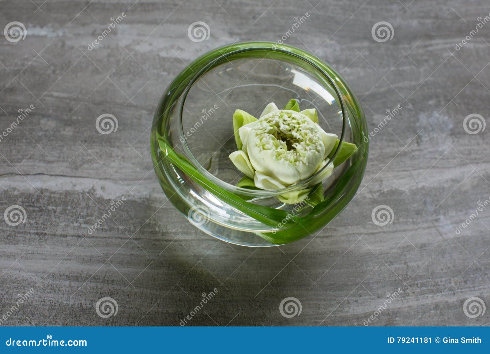 Floating lotus. stock image. Image of interior, asia - 79241181