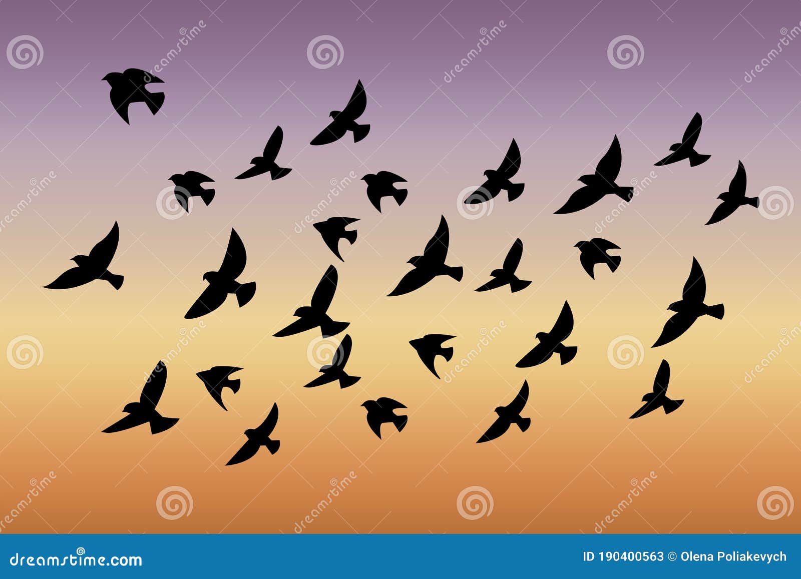 flocks of birds flying in patterns flocks of birds flying in patterns