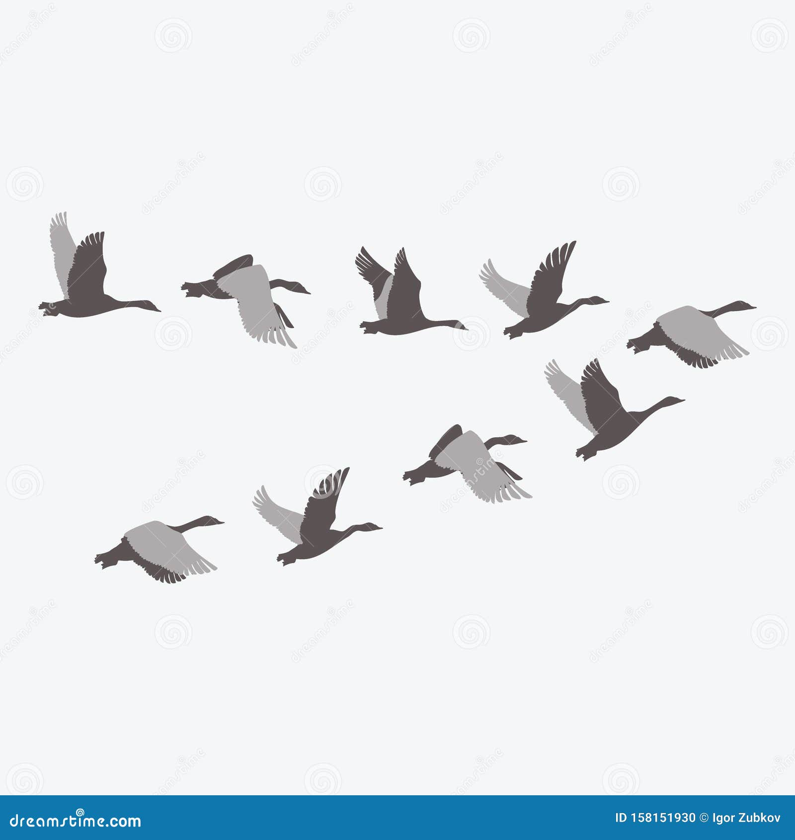 a flock of ducks. a cartoon flock of birds.   of flying birds. drawing for children.