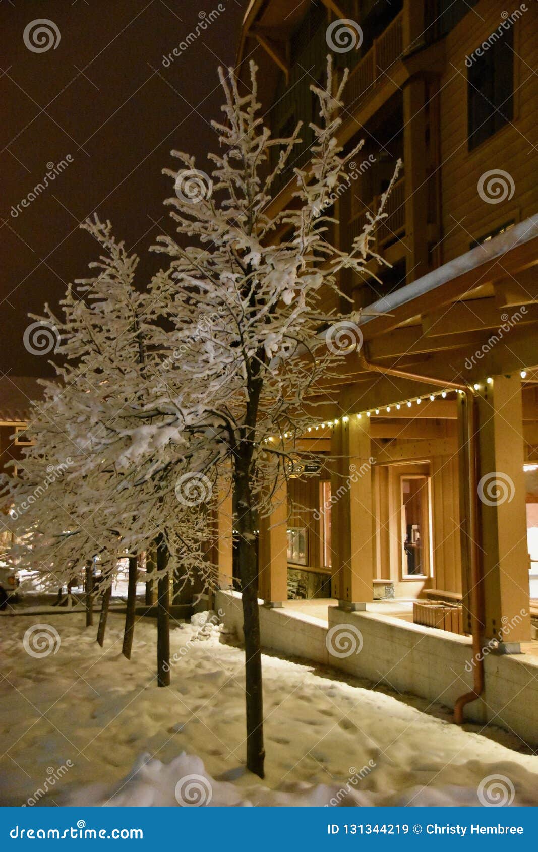 flocked trees and warmly lit storefronts at whitefish mountain resort