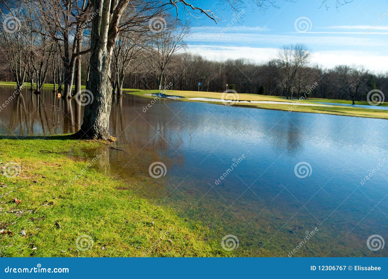 Flooded golf course stock image. Image of flooded, flag 12306767