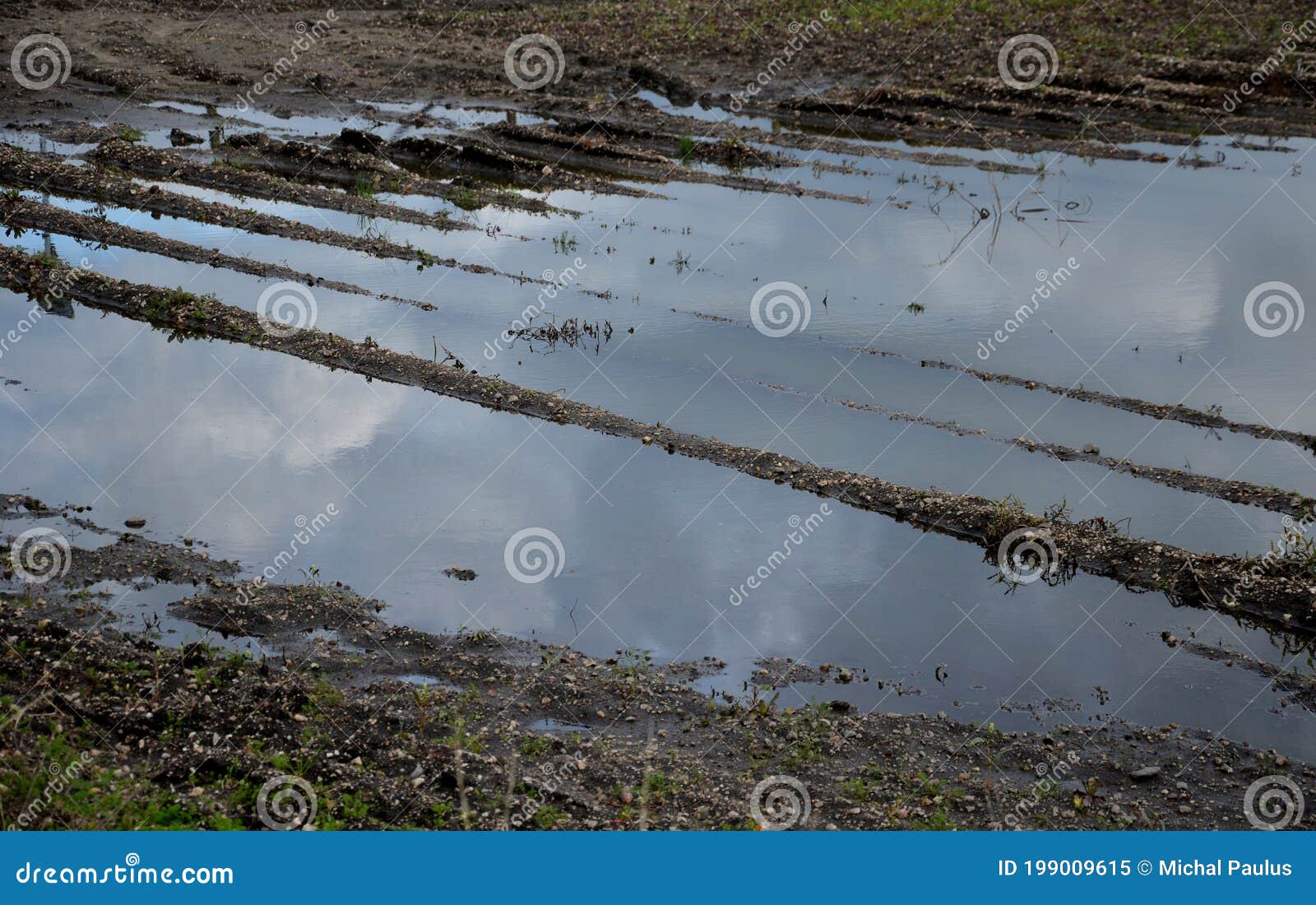 flooded potato field due to heavy rains poorly permeable soil. due to compaction by heavy mechanization tractors push too much gro