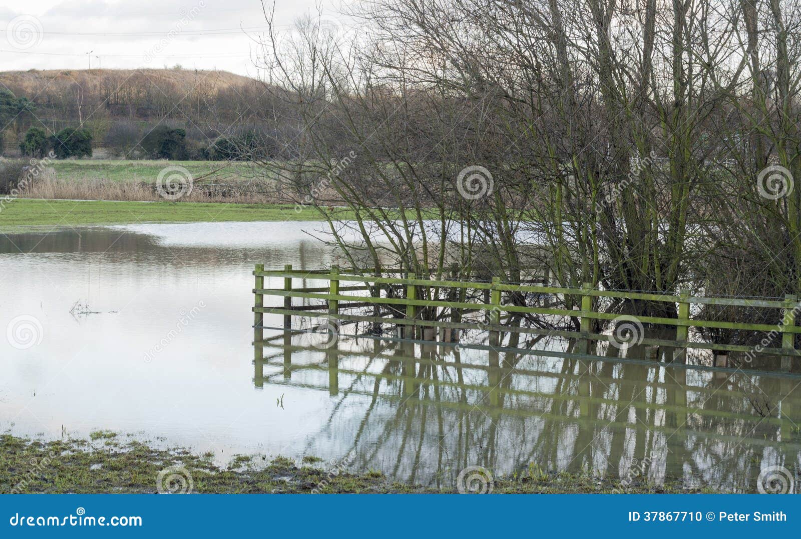 Essex Countryside Uk Flooded Farmland Stock Photo Image of spoil