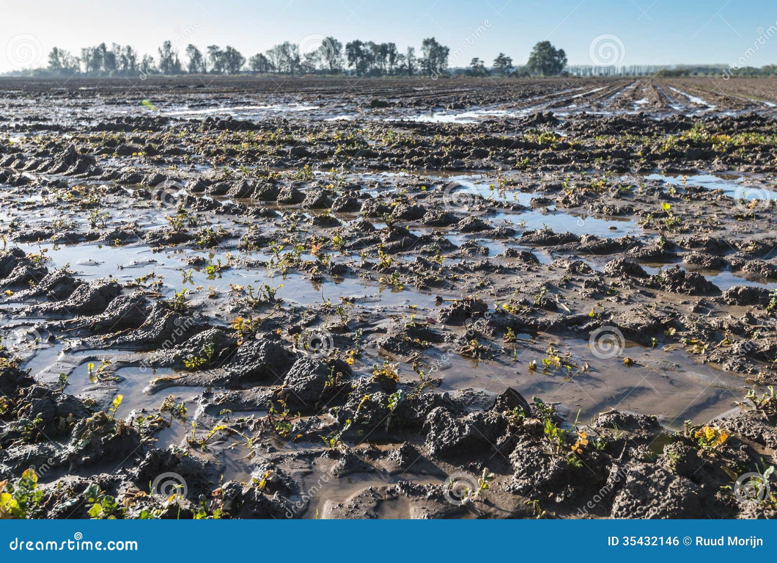 Flooding on farmland stock photo. Image of outdoors, rain 35432146