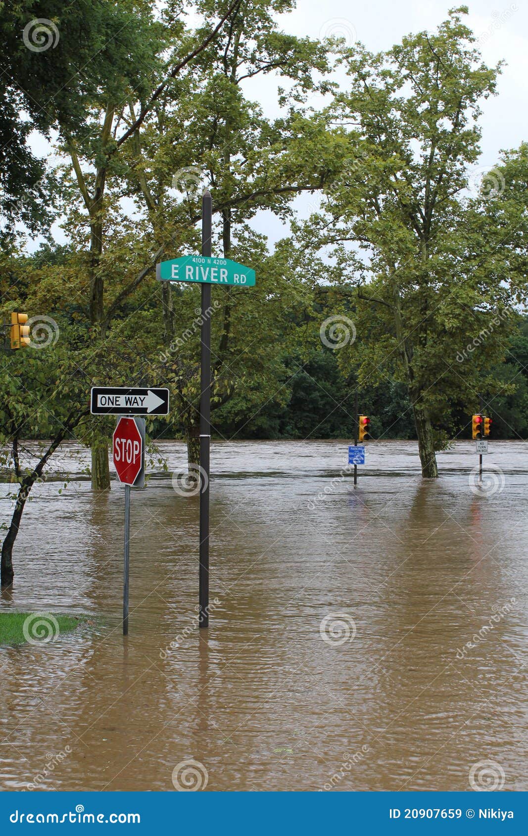Flooding Along Pigeon River In Canton, North Carolina Editorial Photo